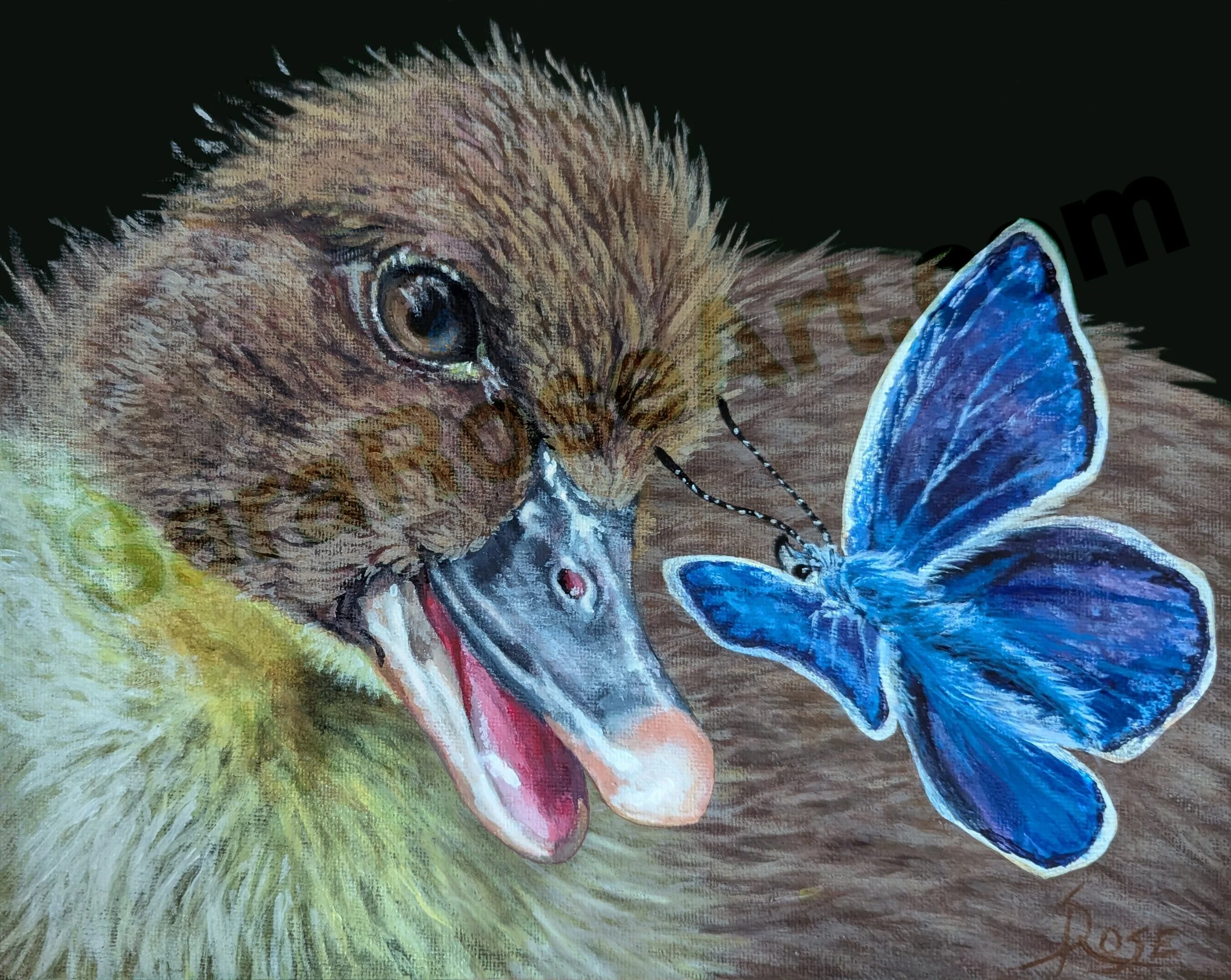 Flutter and fuzz.jpg