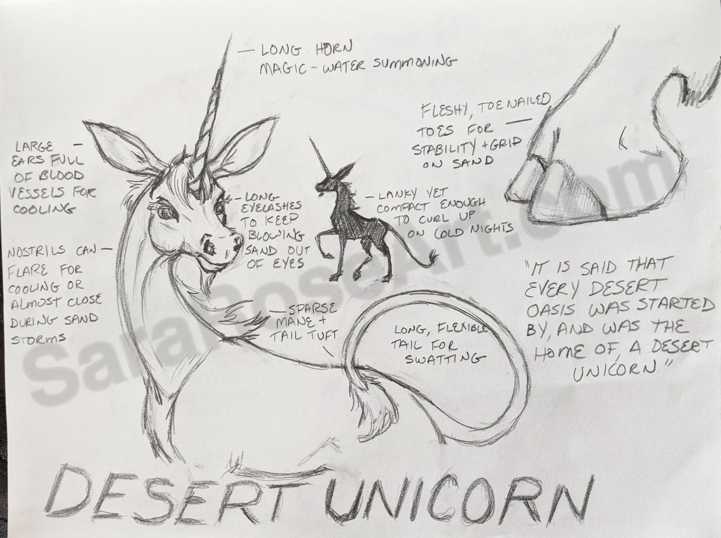 Desert.jpg