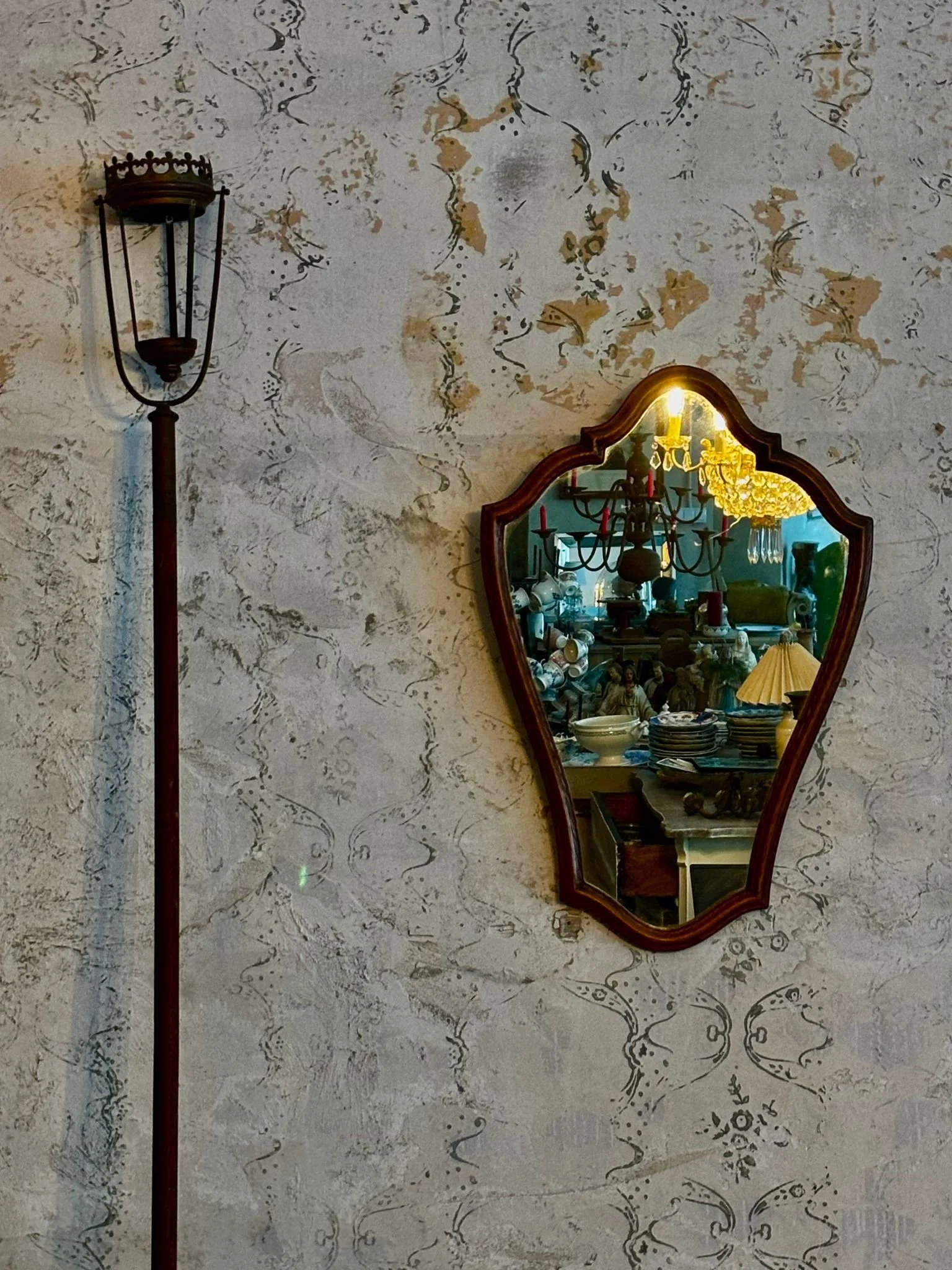 WhatsApp Image 2026-01-13 at 14.20.18.jpeg