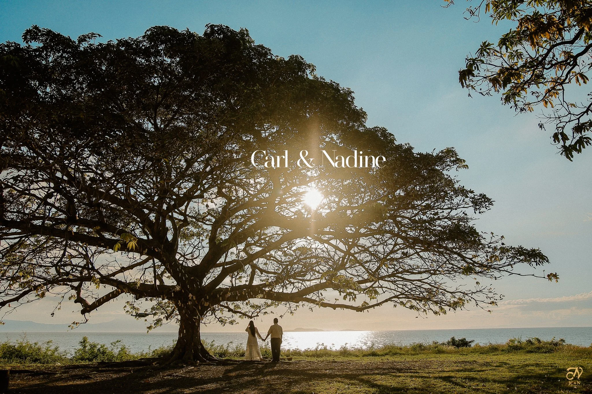 Carl & Nadine Proposal