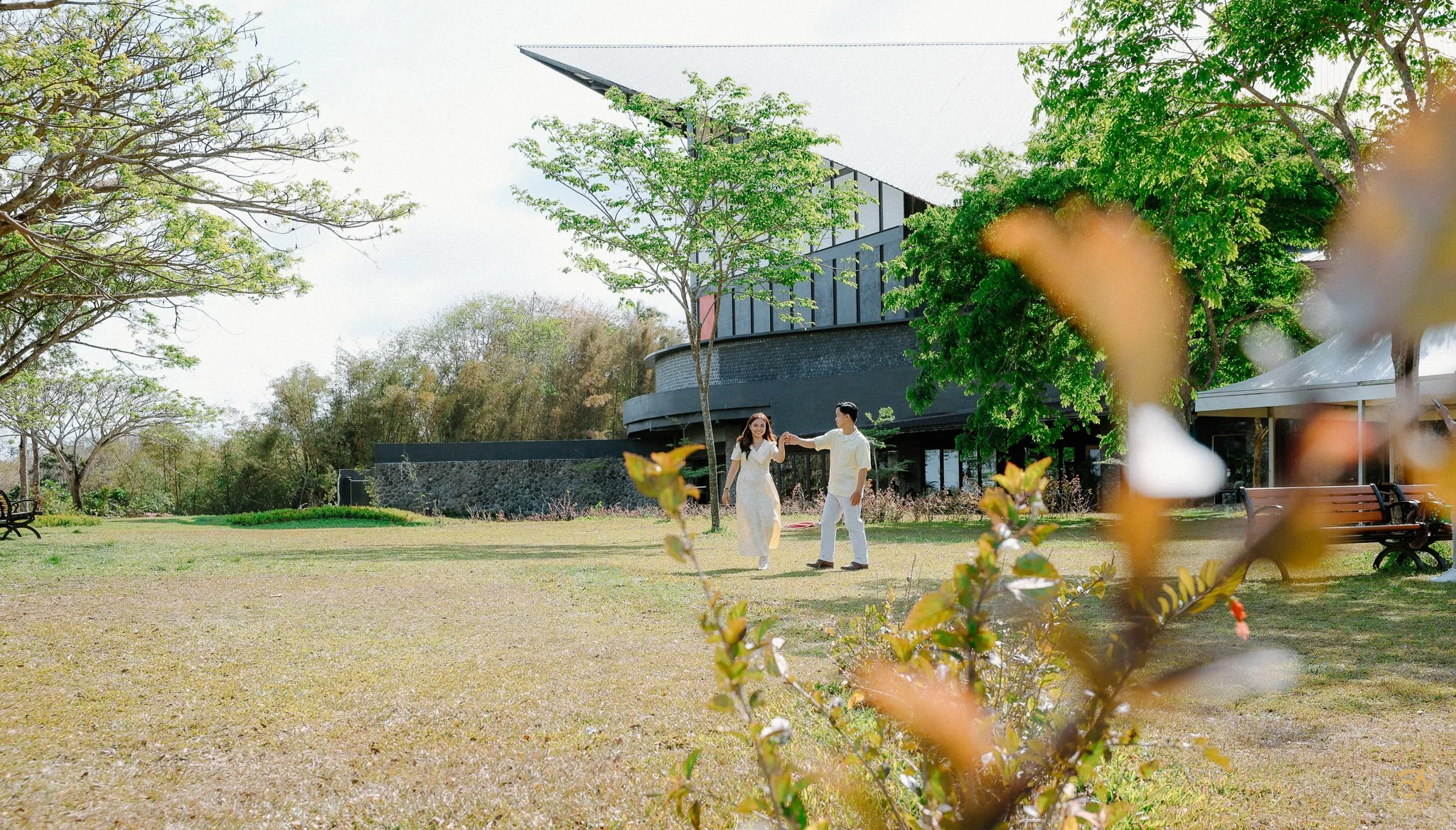 175.jpg
