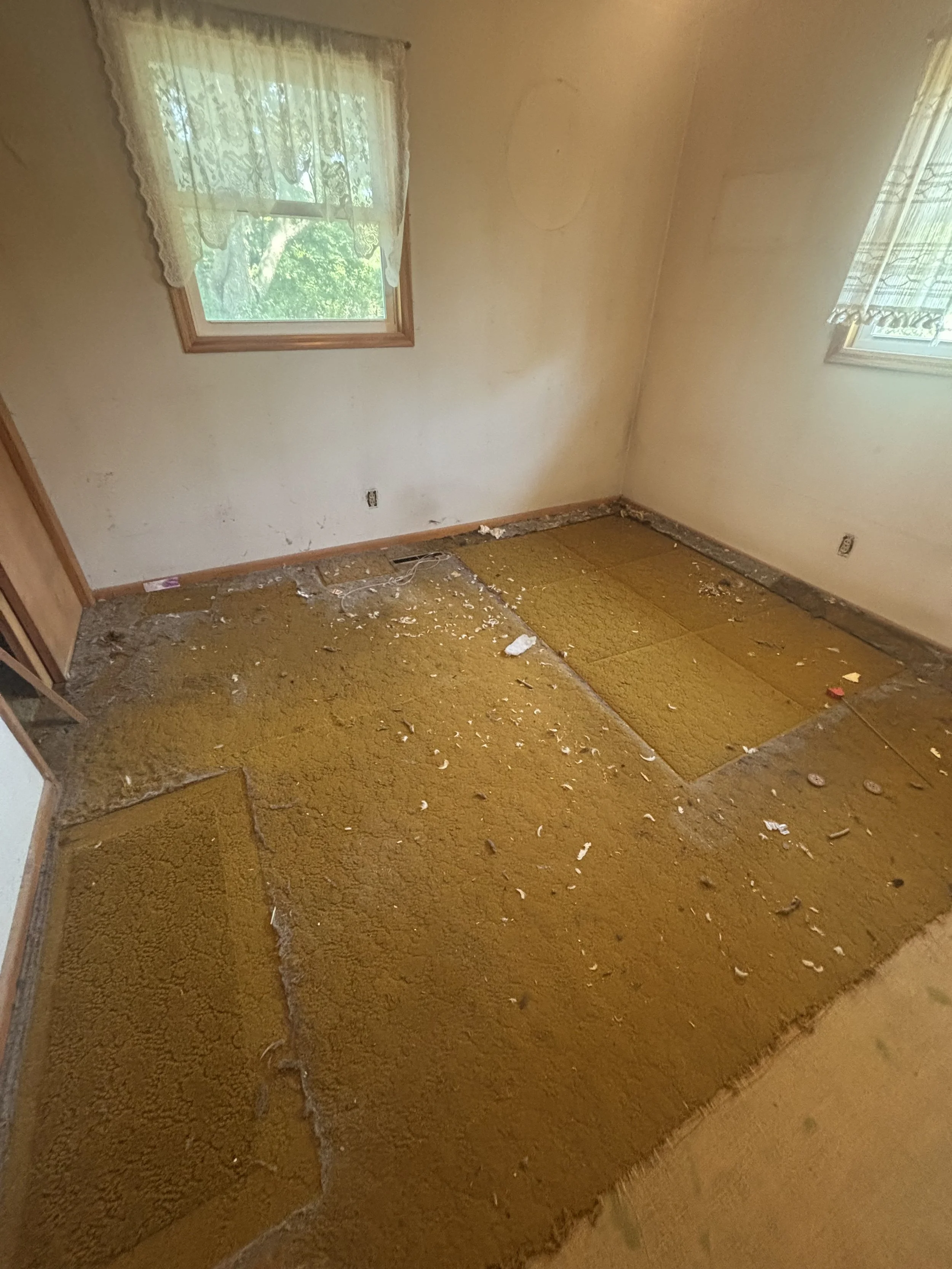 A room with two windows with lace curtains, yellowish-orange carpet partially removed, exposing the subfloor, along with various debris and dust on the floor.