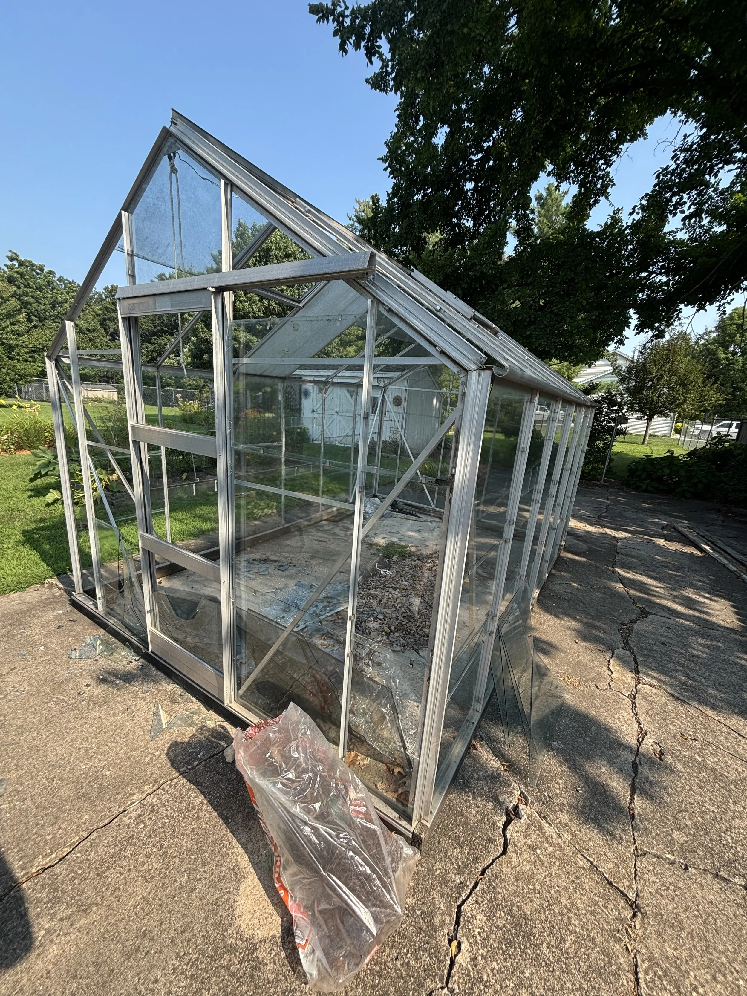 A partially broken glass greenhouse with missing panels, sitting on a cracked concrete pavement surrounded by greenery and trees, with a plastic bag on the ground nearby.