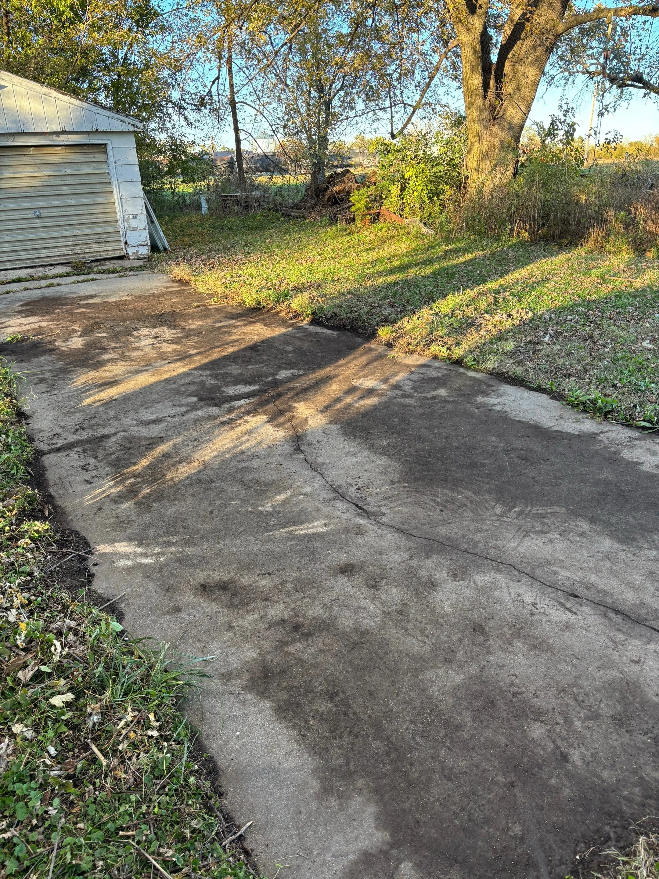 Sunlit backyard with cracked concrete driveway, grass and bushes, a large tree, and an old shed with a closed metal door.