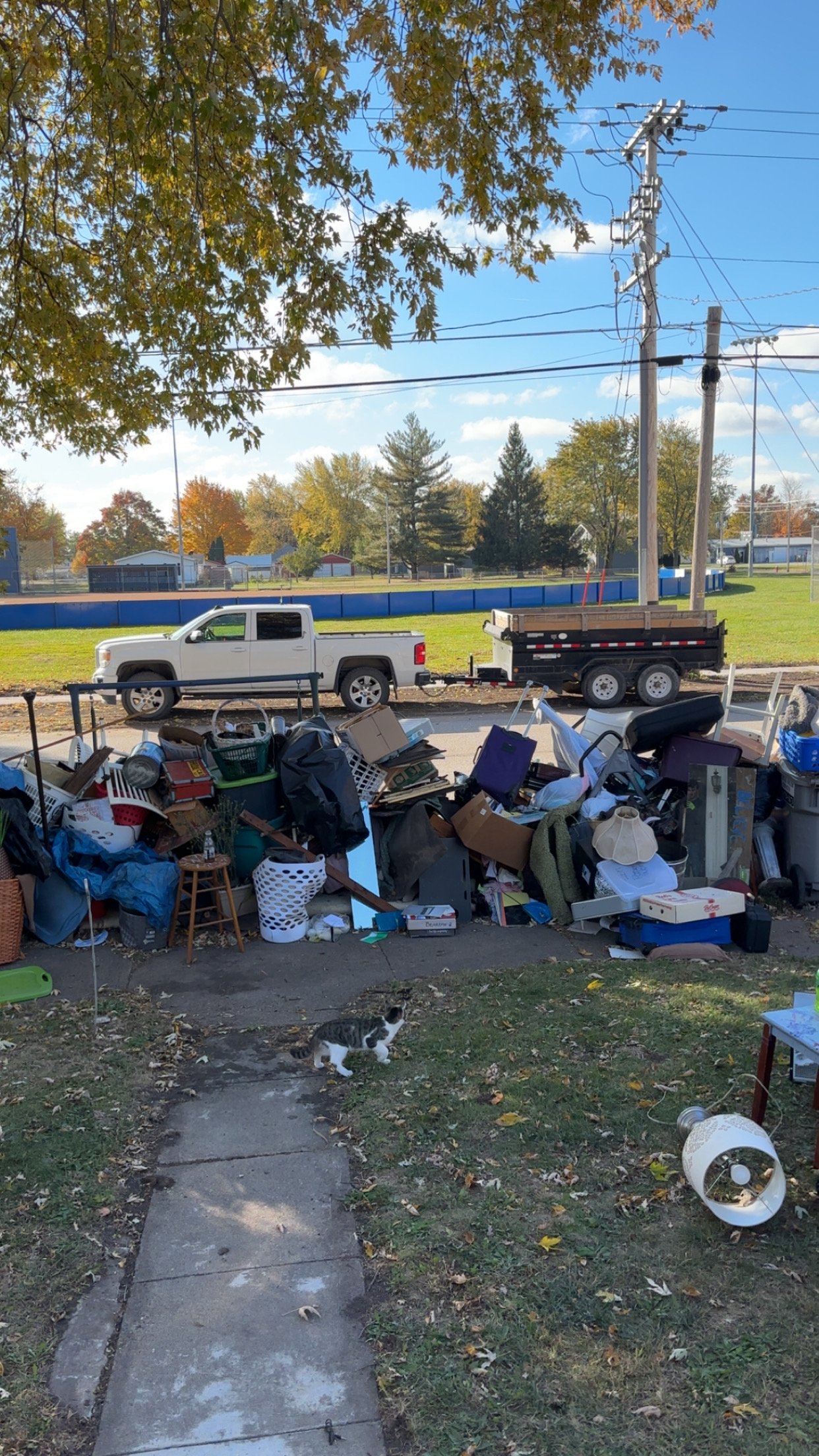 A pile of miscellaneous household items and trash on the sidewalk near a street with a white pickup truck and utility pole in the background. A cat is walking on the sidewalk.