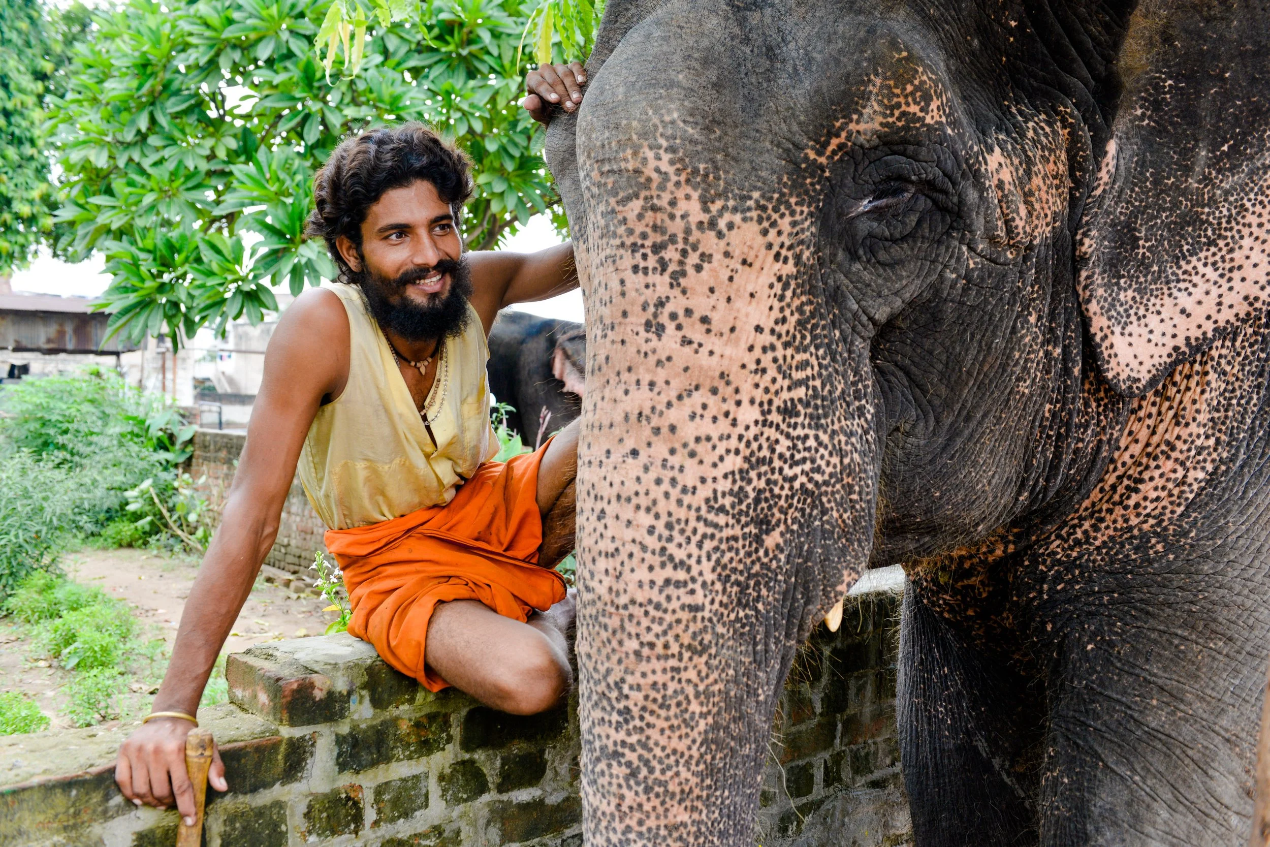 India: A Sensory Adventure