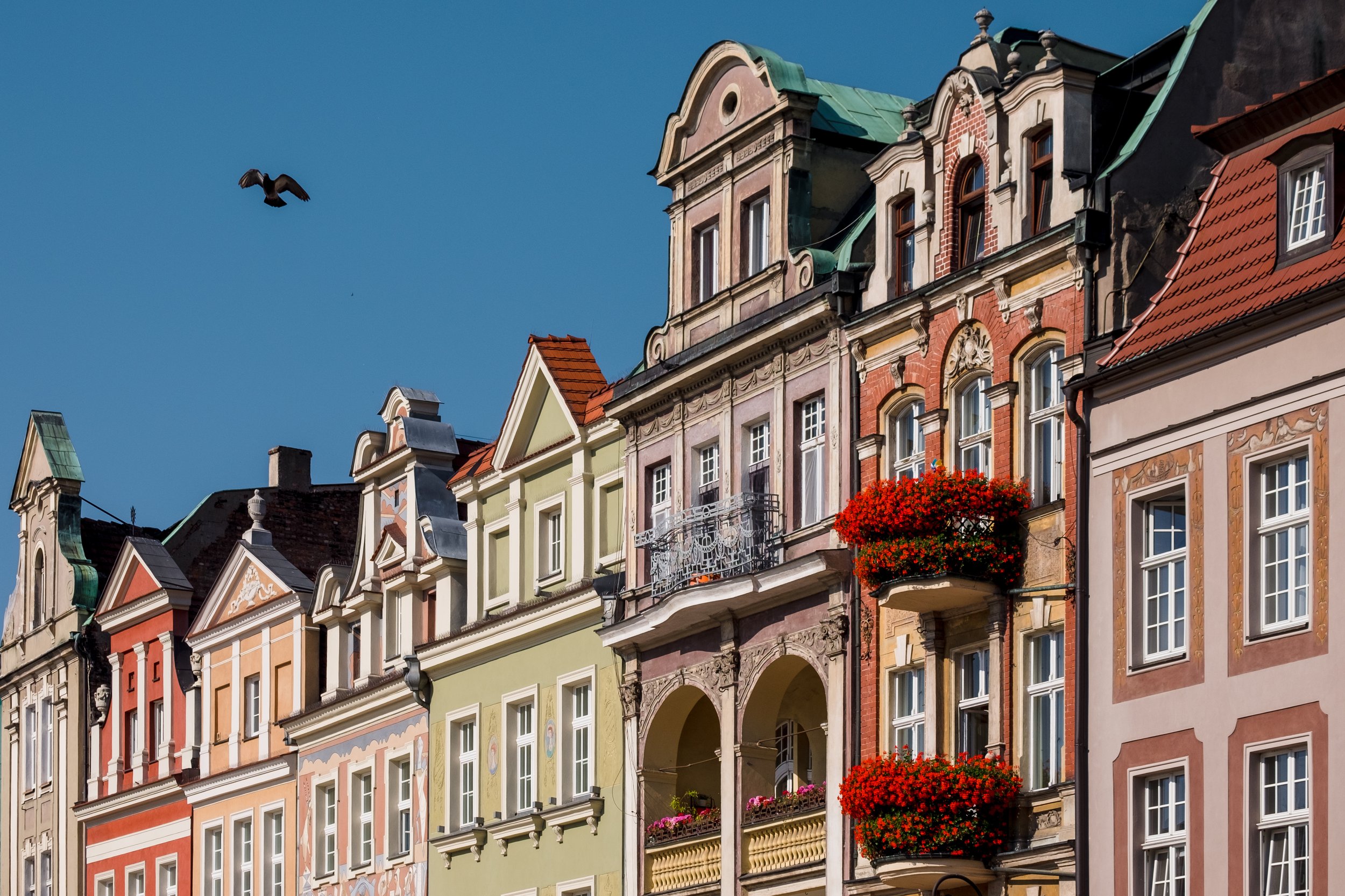 Colorful historic buildings with ornate facades and flower-filled balconies under a clear blue sky, with a bird flying overhead.