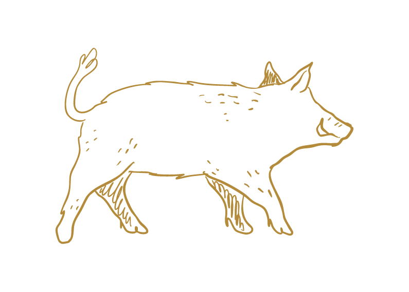 Illustration d'un sanglier avec des traits dorés.