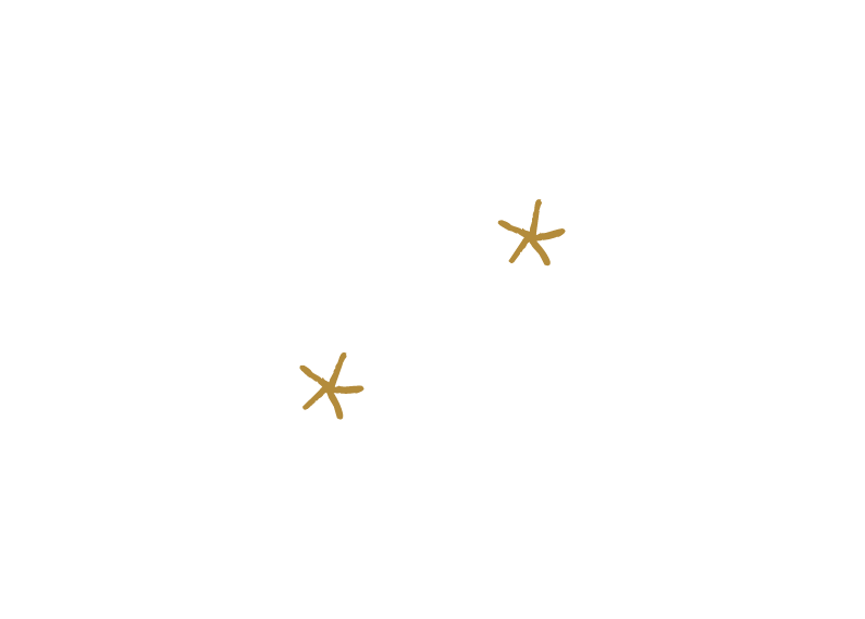 Carte du ciel avec constellations et étoiles, annotations écrites en noir, avec deux étoiles dorées