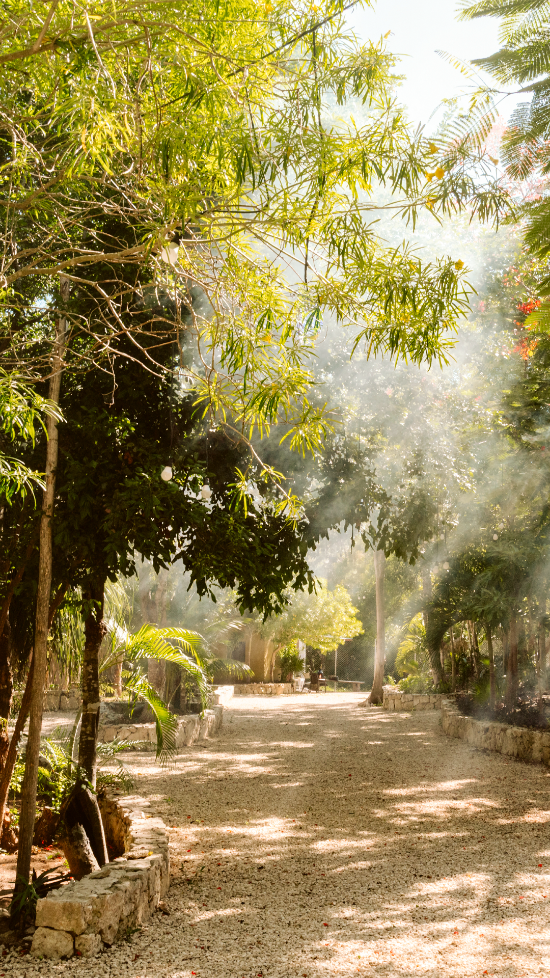 Jungle Reset: Temazcal & Sacred Fire Experience (April 4th)