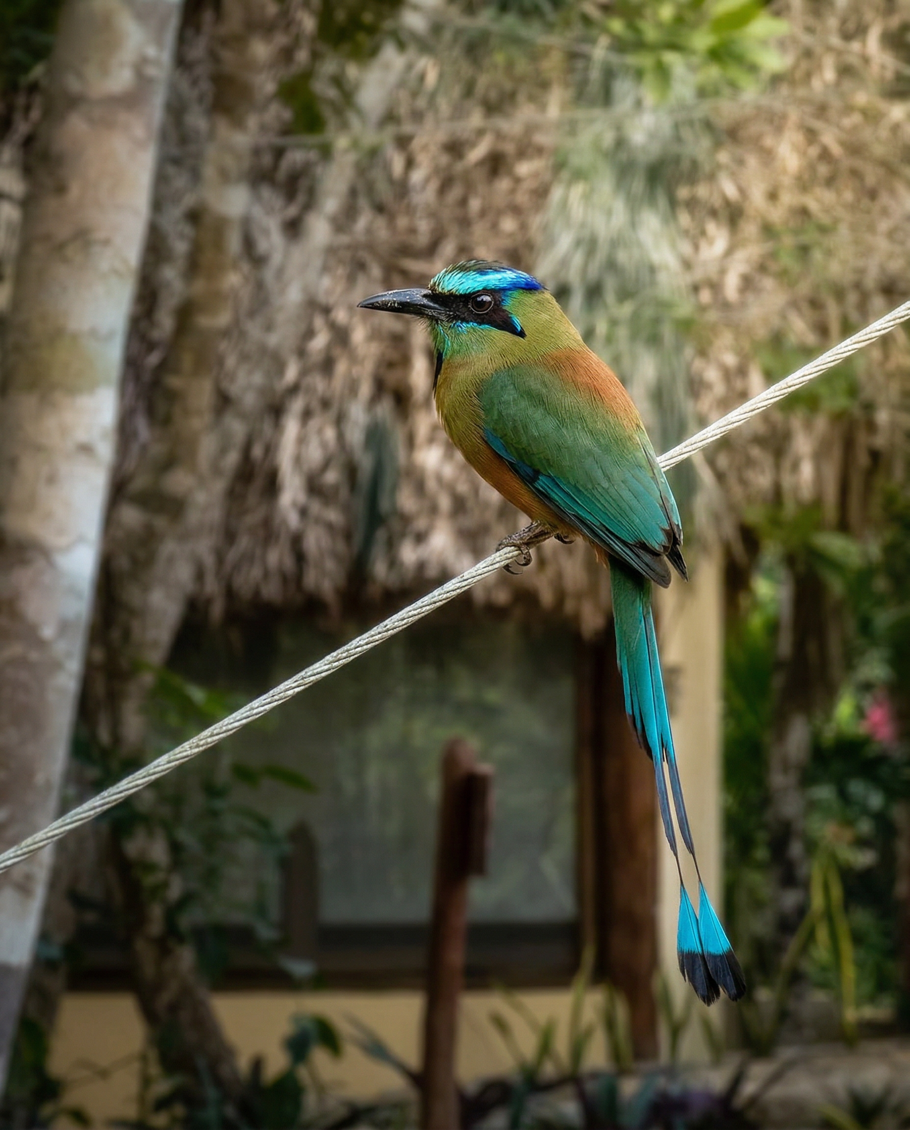 Wednesday creativity