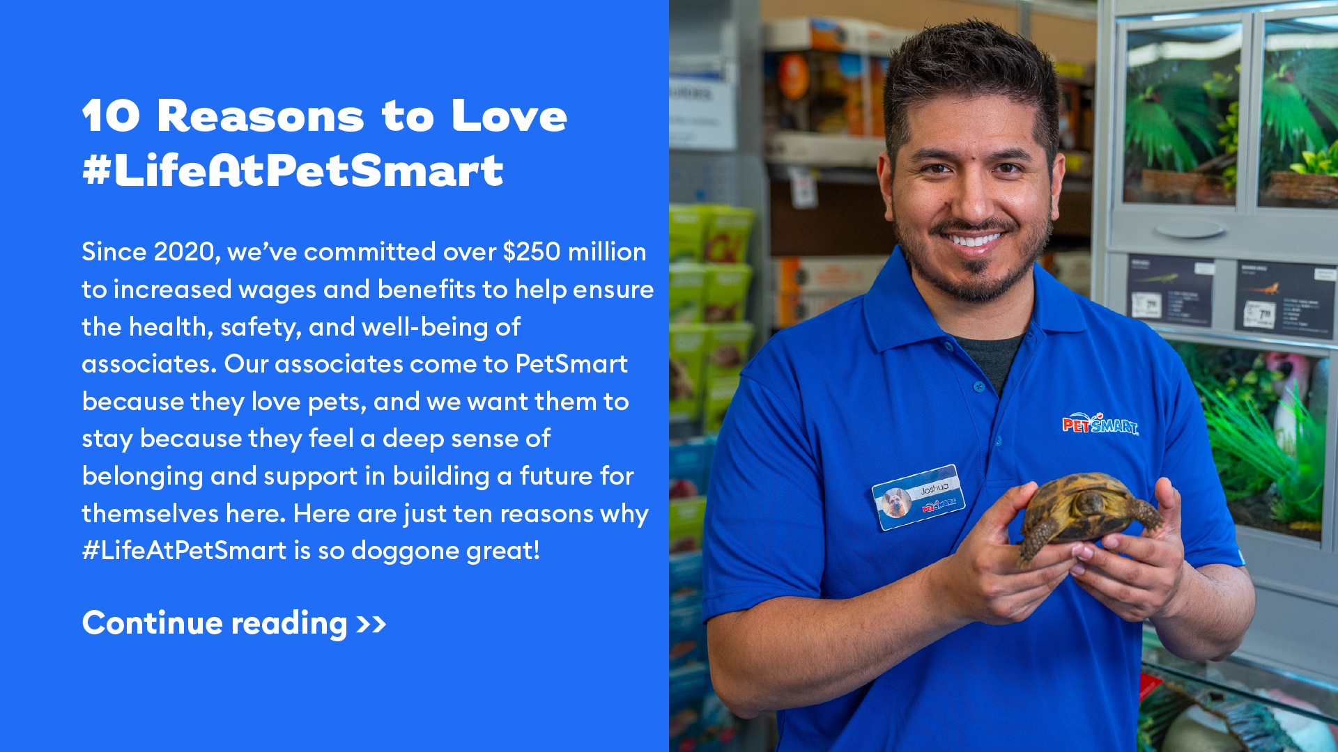 10 reason to love #lifeatpetsmart story link featuring a PetSmart associate holding a tortoise.