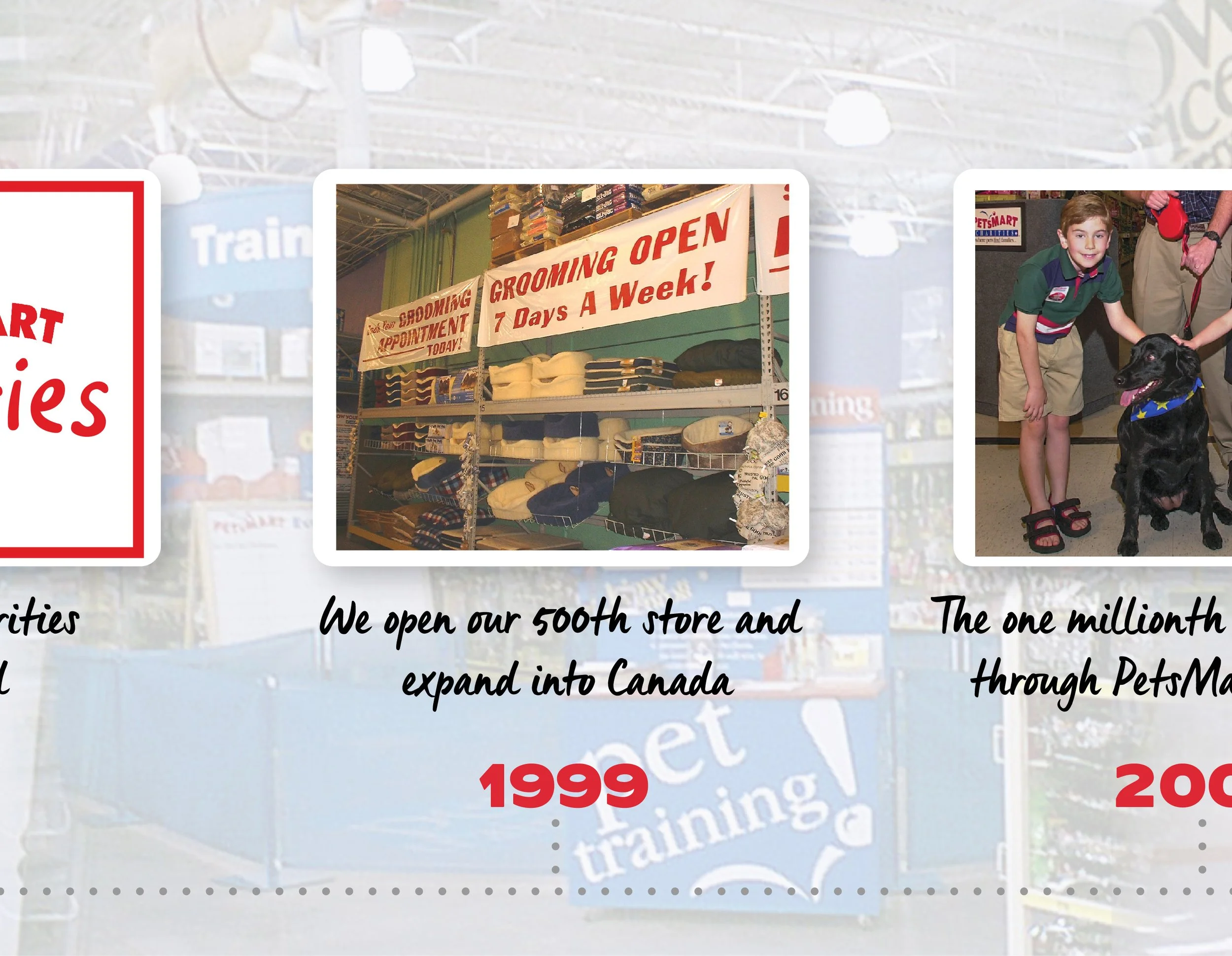 A display of dog grooming supplies with a sign that says "Grooming Open 7 Days A Week!" and shelves stocked with pet beds and grooming products.