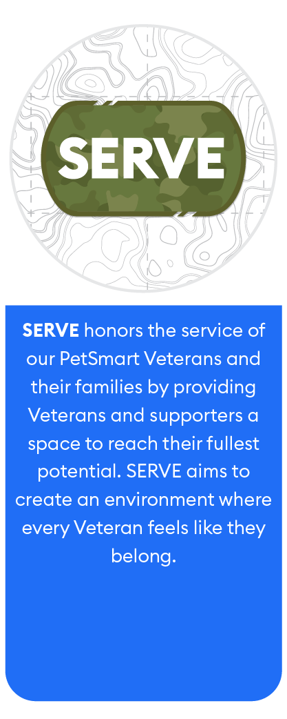 Serve Arg logo and description