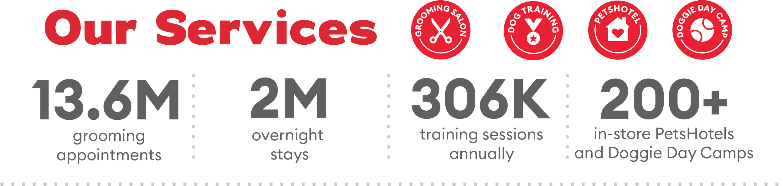 Infographic displaying services and statistics for a pet care business, including grooming salon, dog training, pet hotel, and doggie day camp, with numbers of appointments, stays, training sessions, and in-store visits.