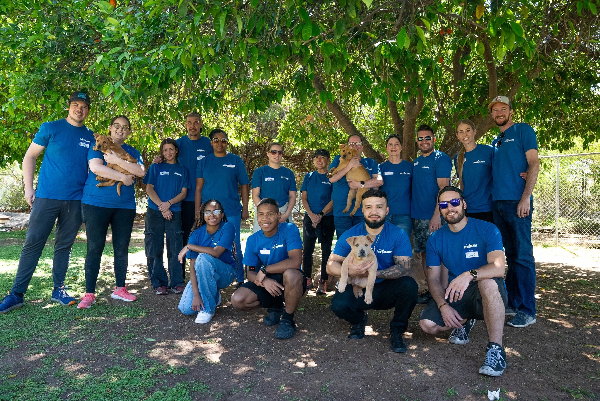 Associate Image-9.jpg