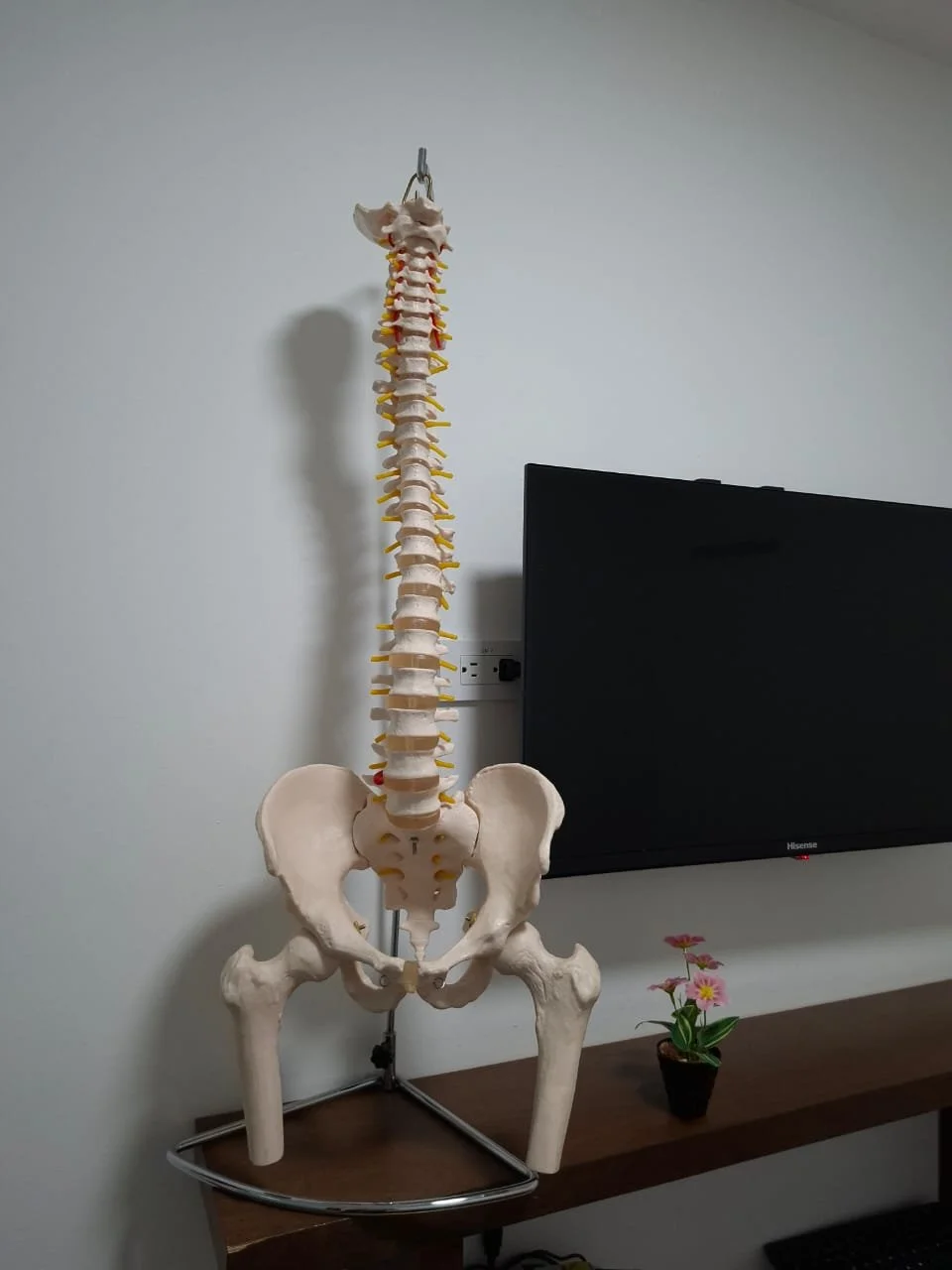 Ajuste quiropráctico