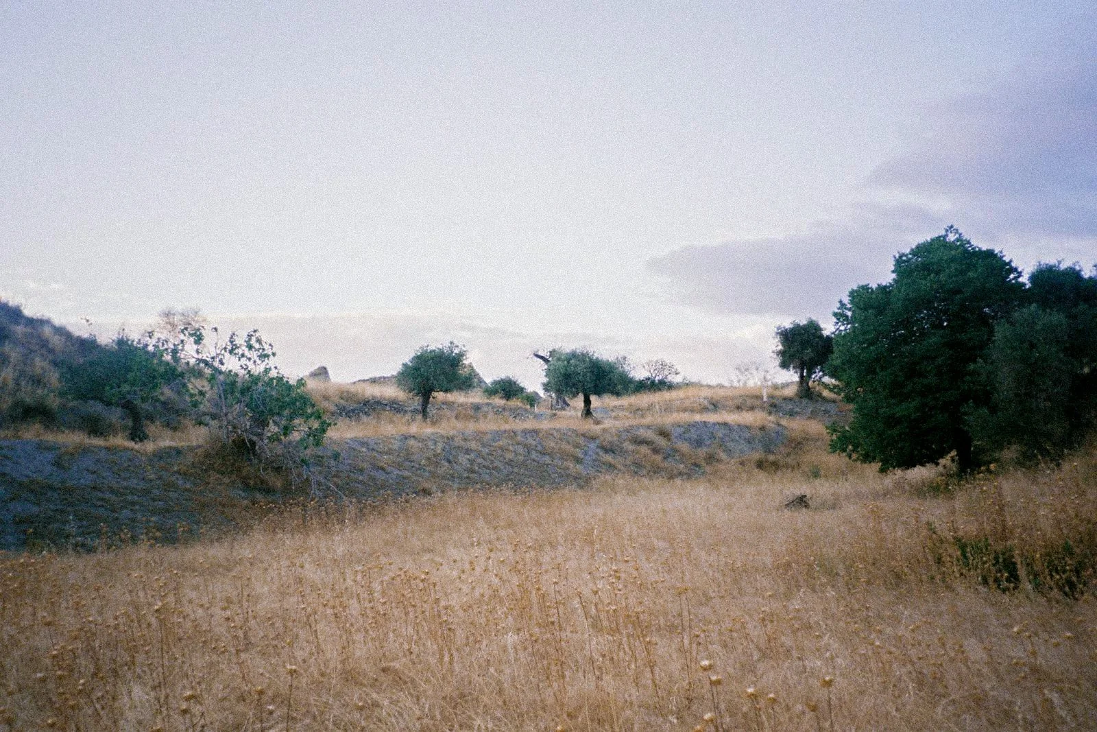 6eb74a33-fa75-40a4-a961-4ad3aa149649.jpeg