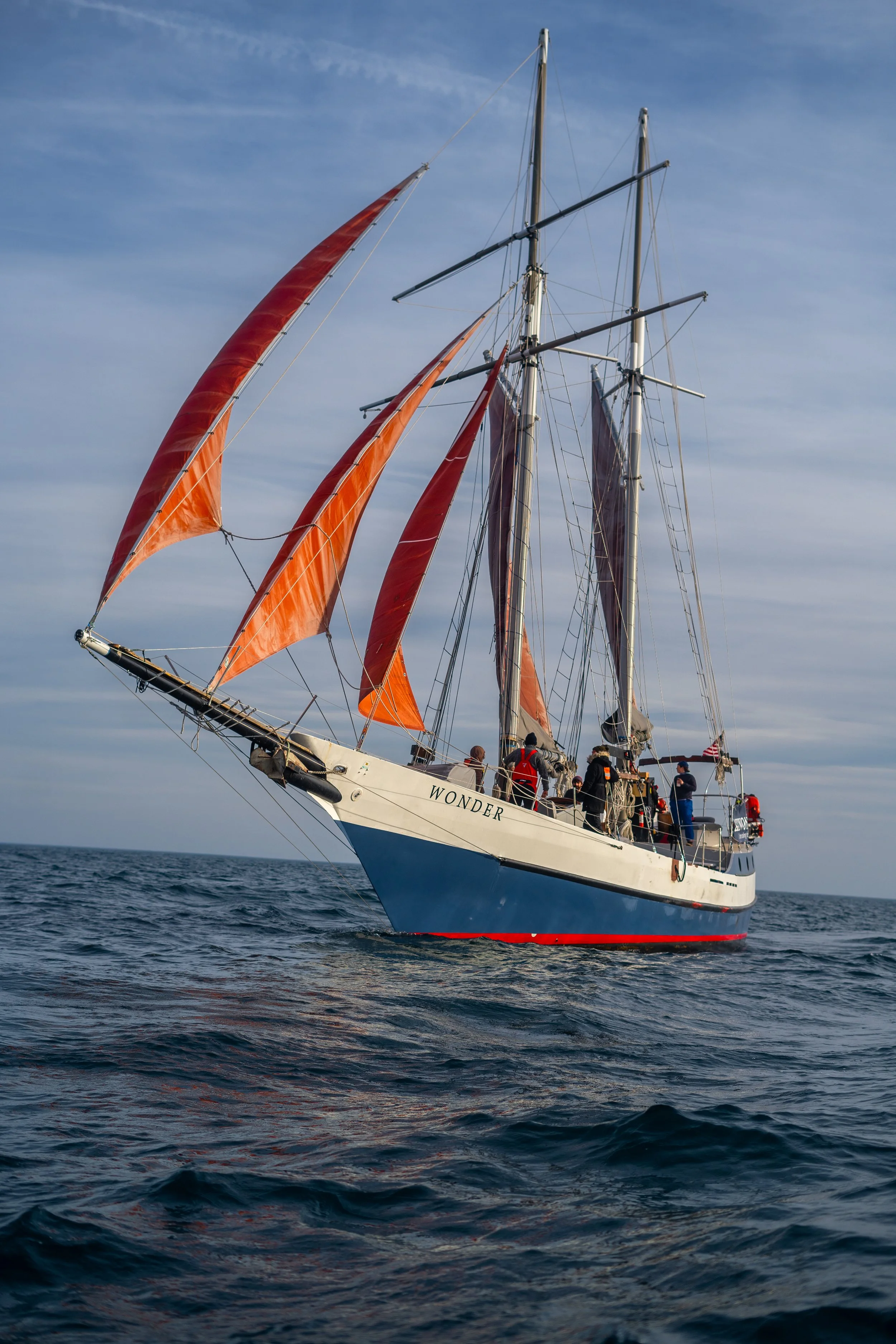 Copy of DSC05956.jpg