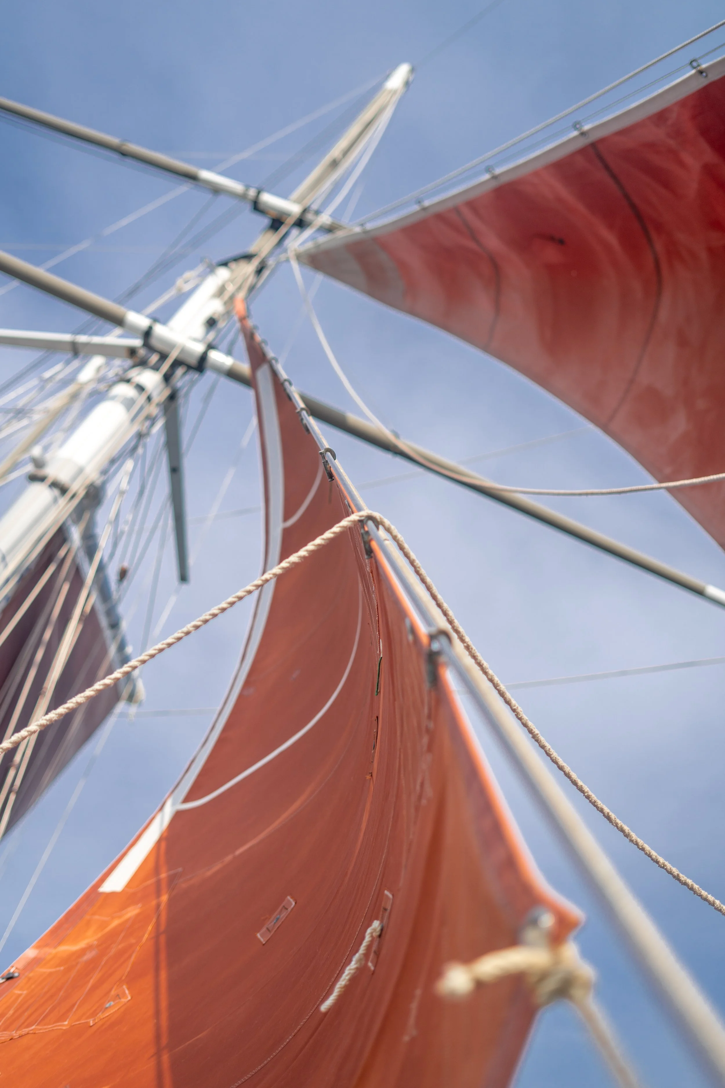 Copy of DSC06079.jpg