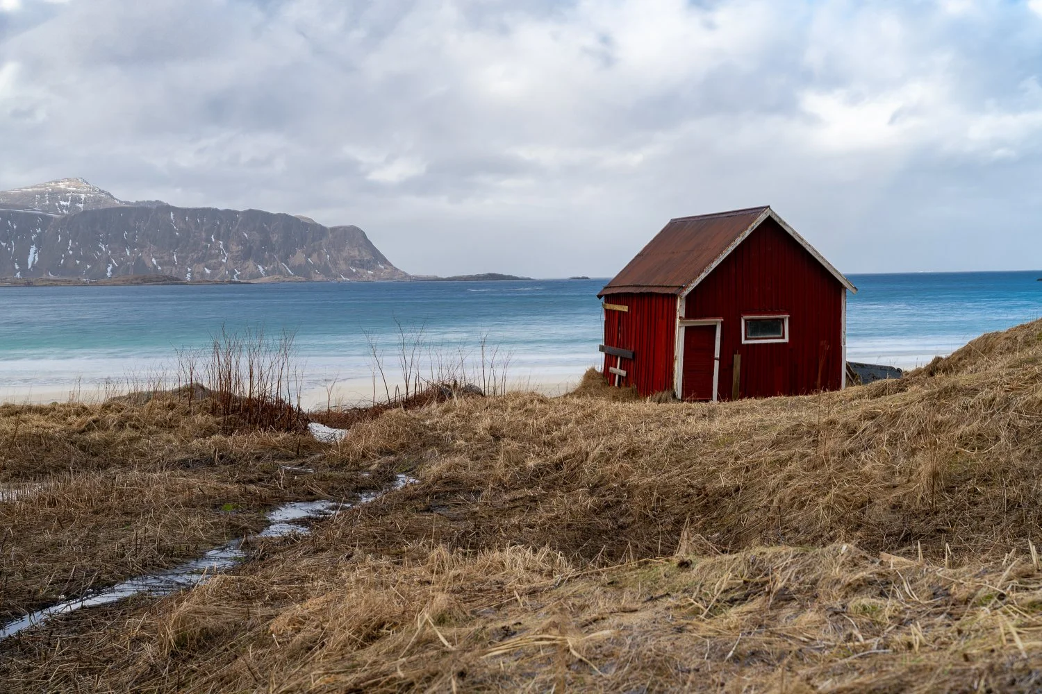 Shed With a View