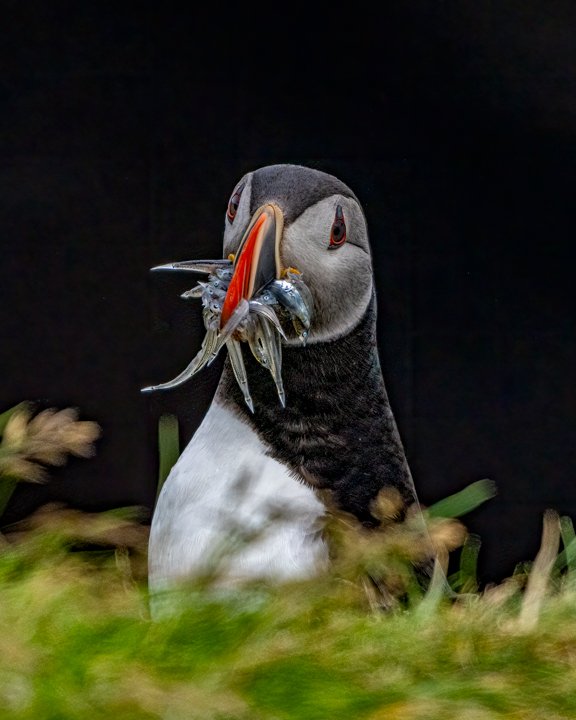 More Than a Mouthful