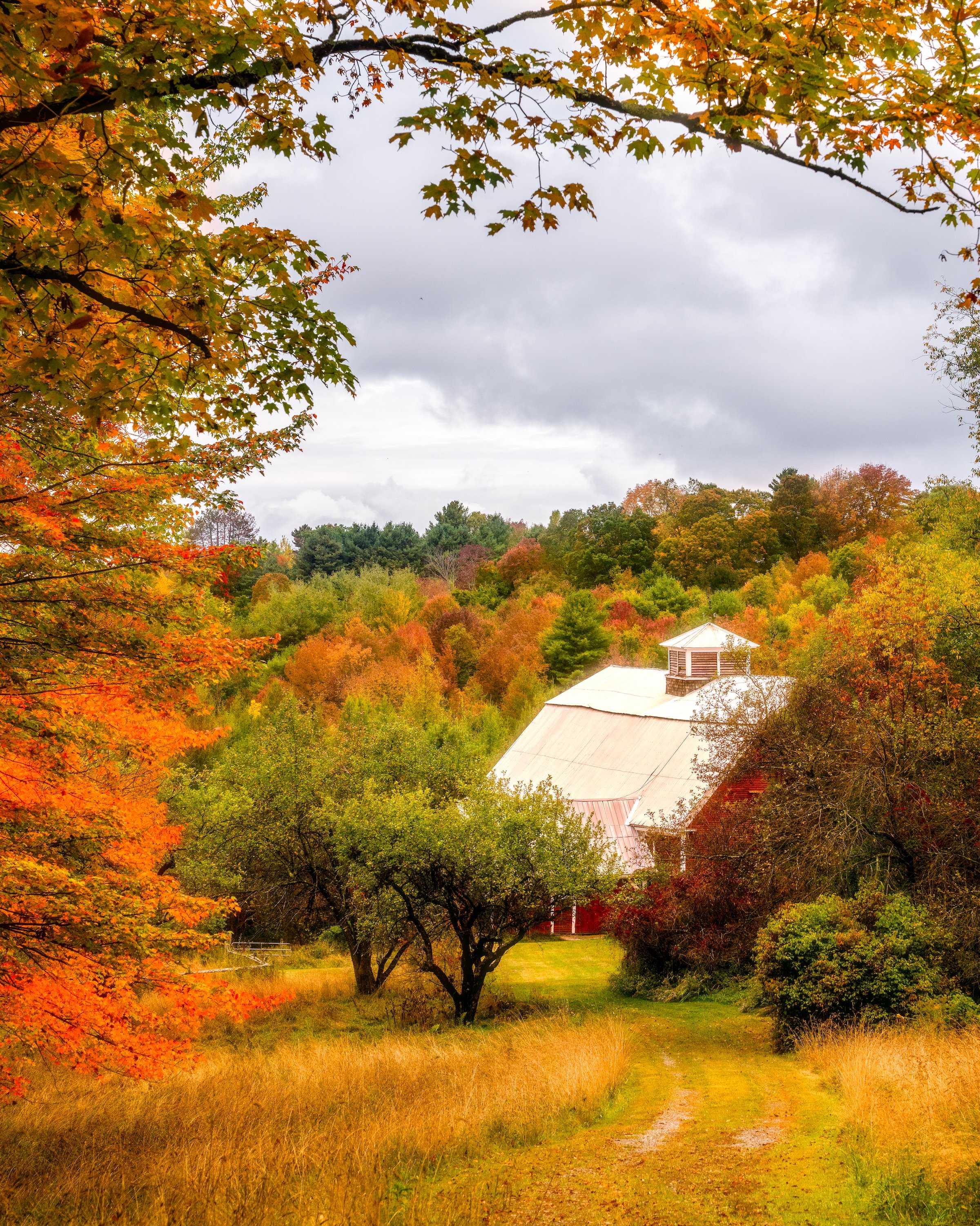 Fall Barn
