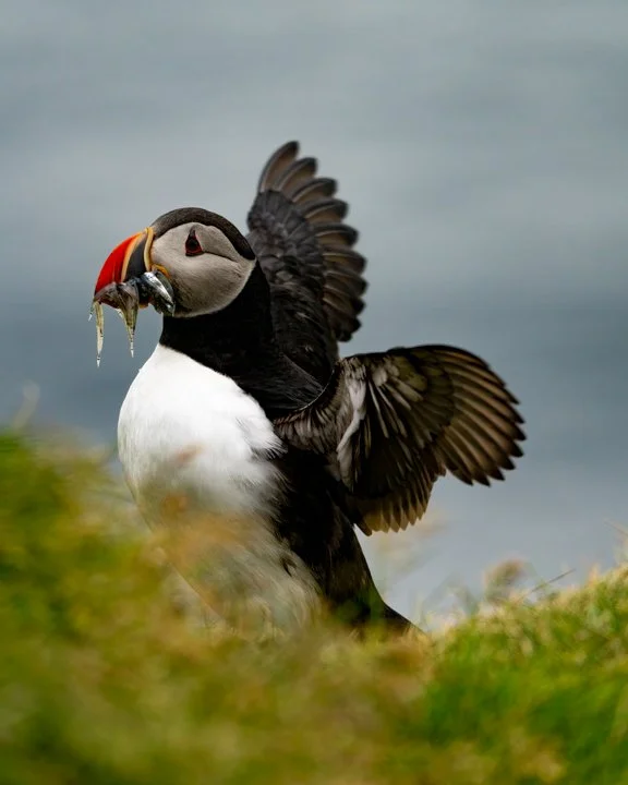 Just Got Home with Dinner