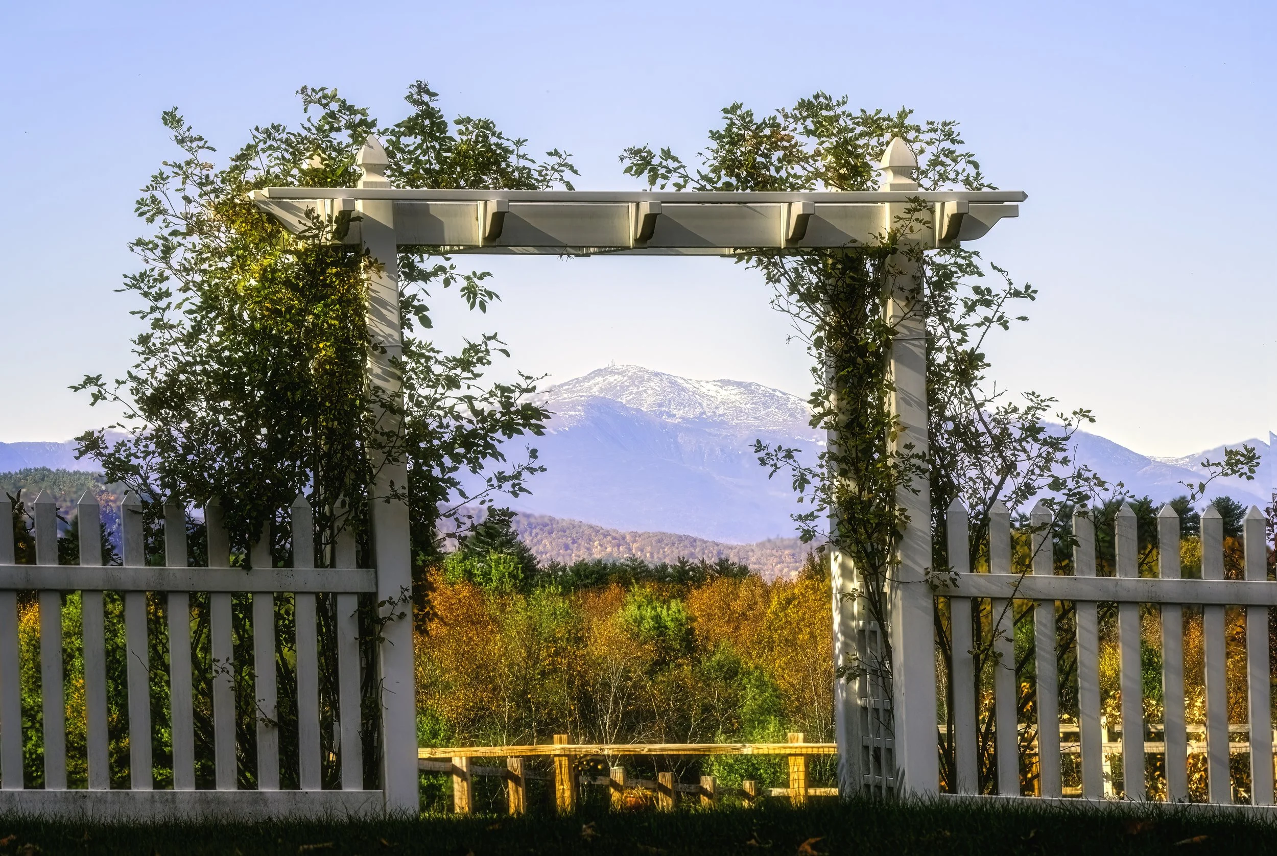 Framed Mt. Washington
