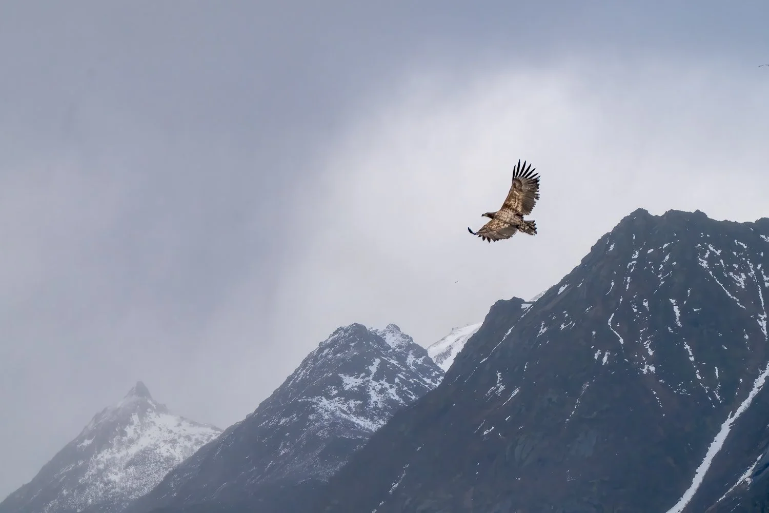 Soaring Over Mountains