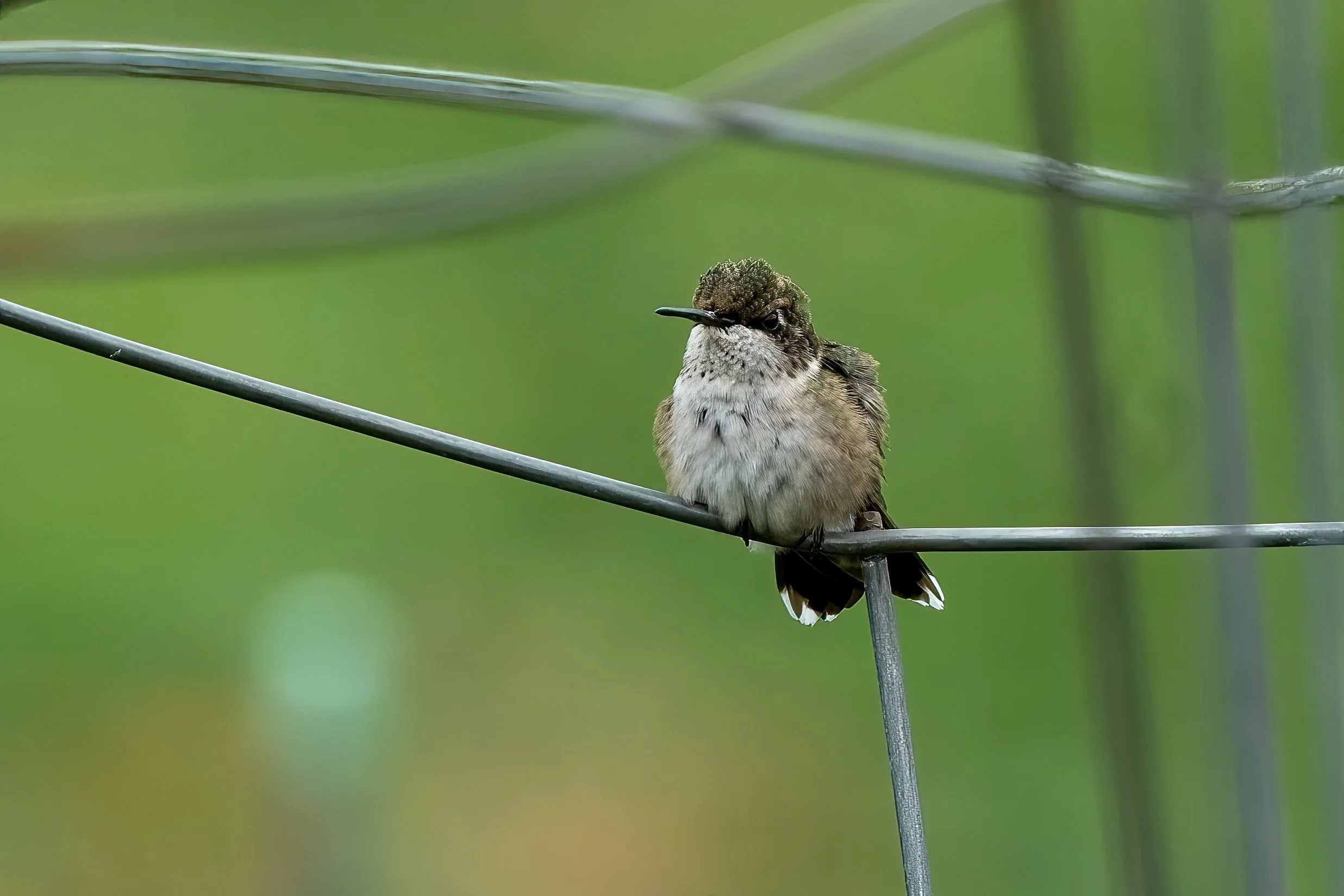 Sitting on the Sidelines