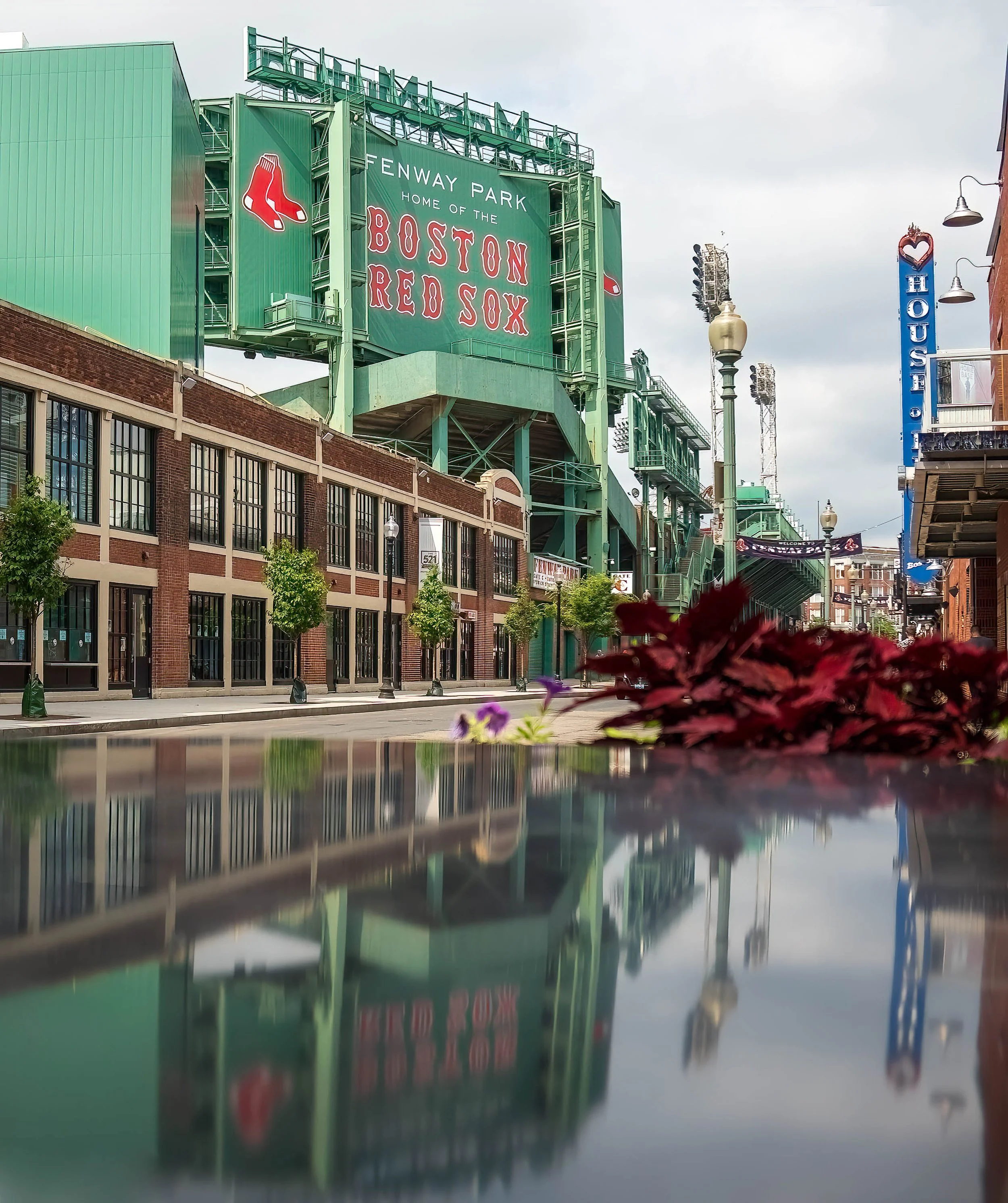 Fenway Reflected