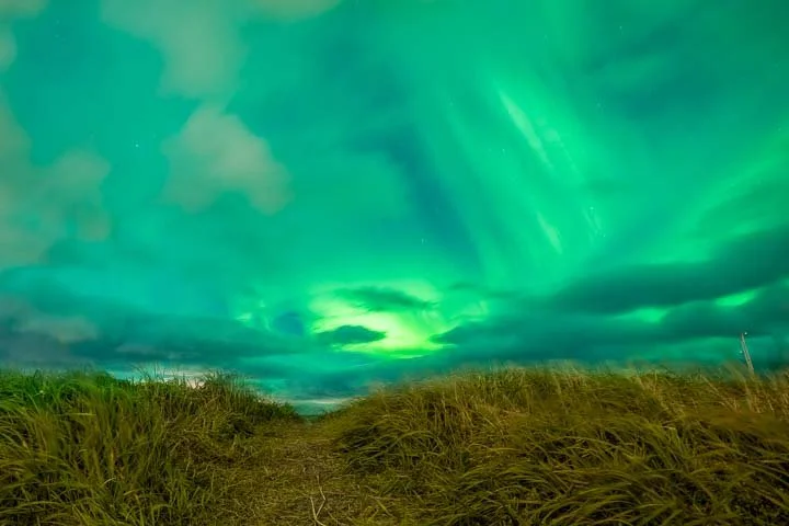 Grótta Northern Lights