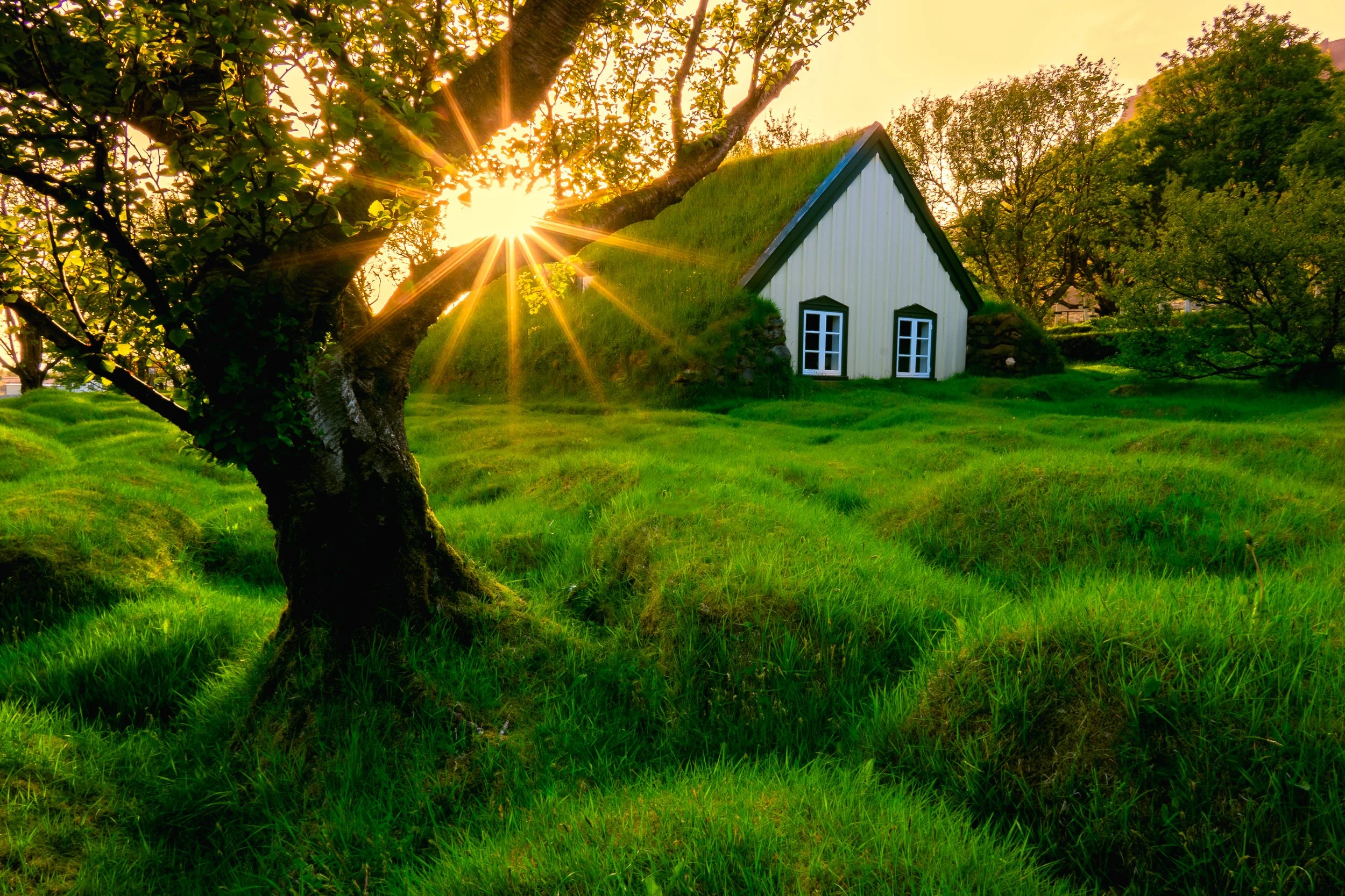 Hofskirkja Turf Church