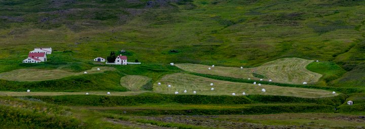 Iceland Farm