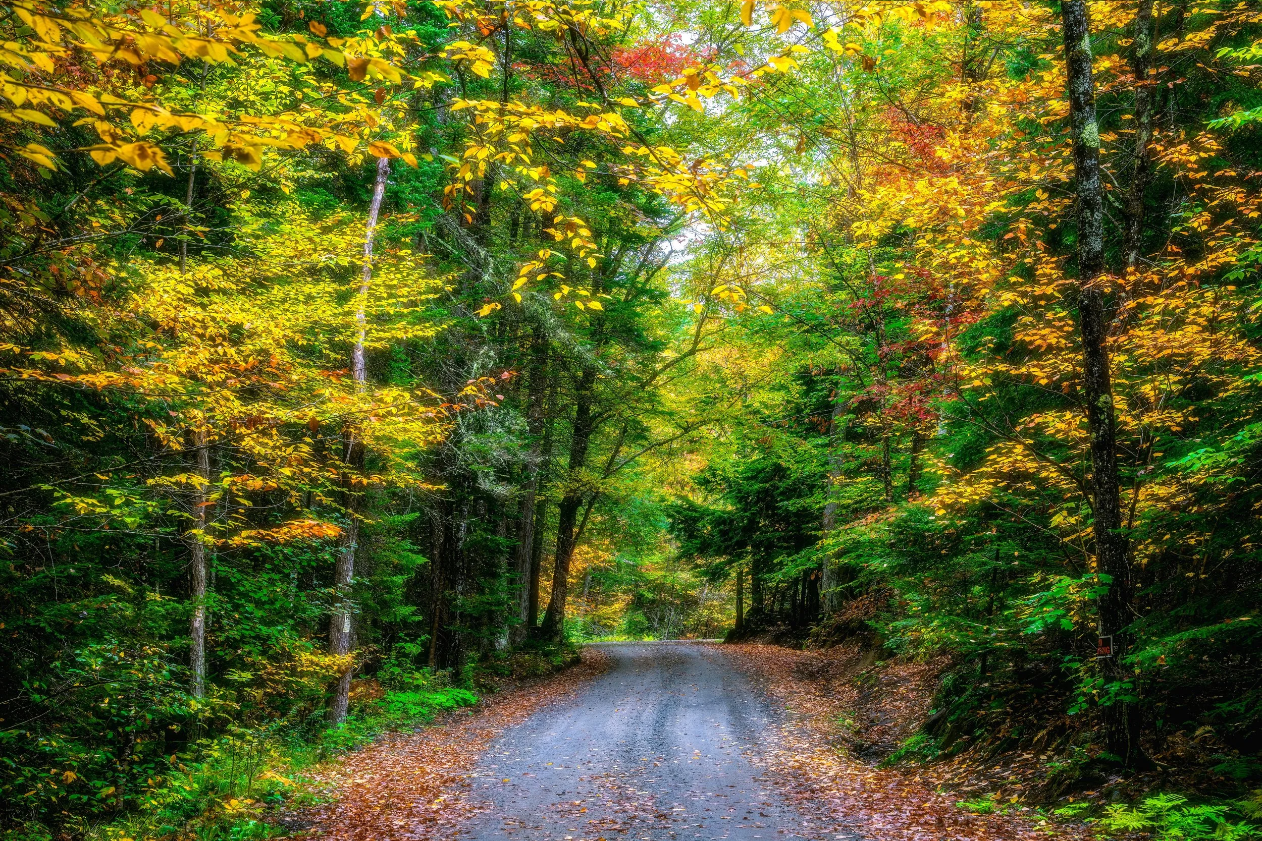 Inviting Fall Road