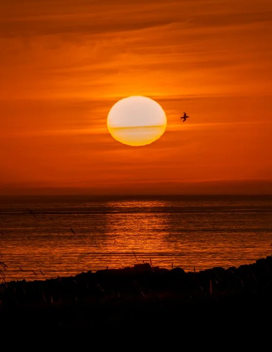 Borgarfjör∂ur Sunset