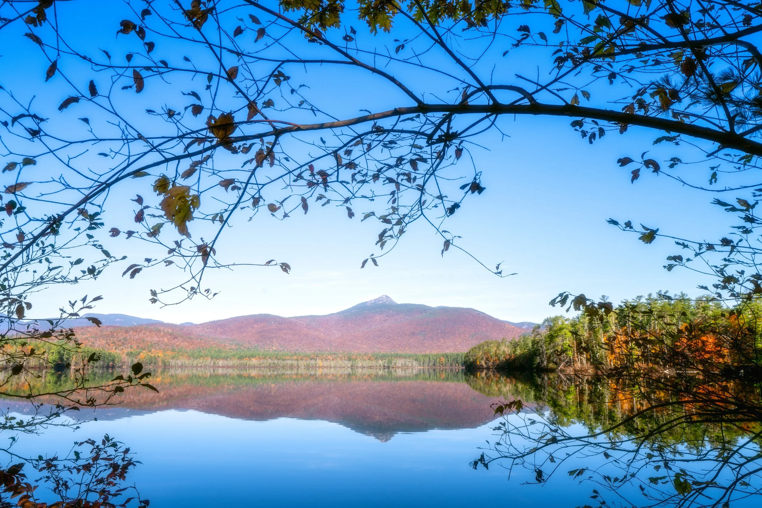 Chocorua Fall Reflection