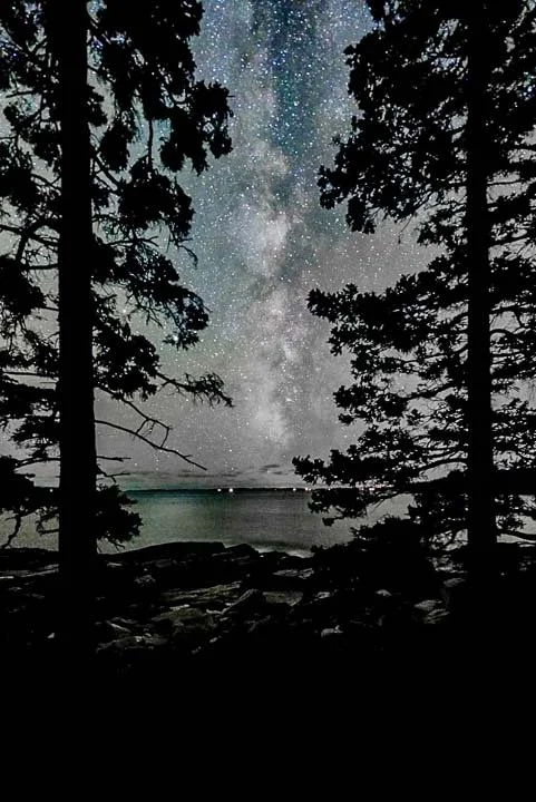 Milky Way Between Trees