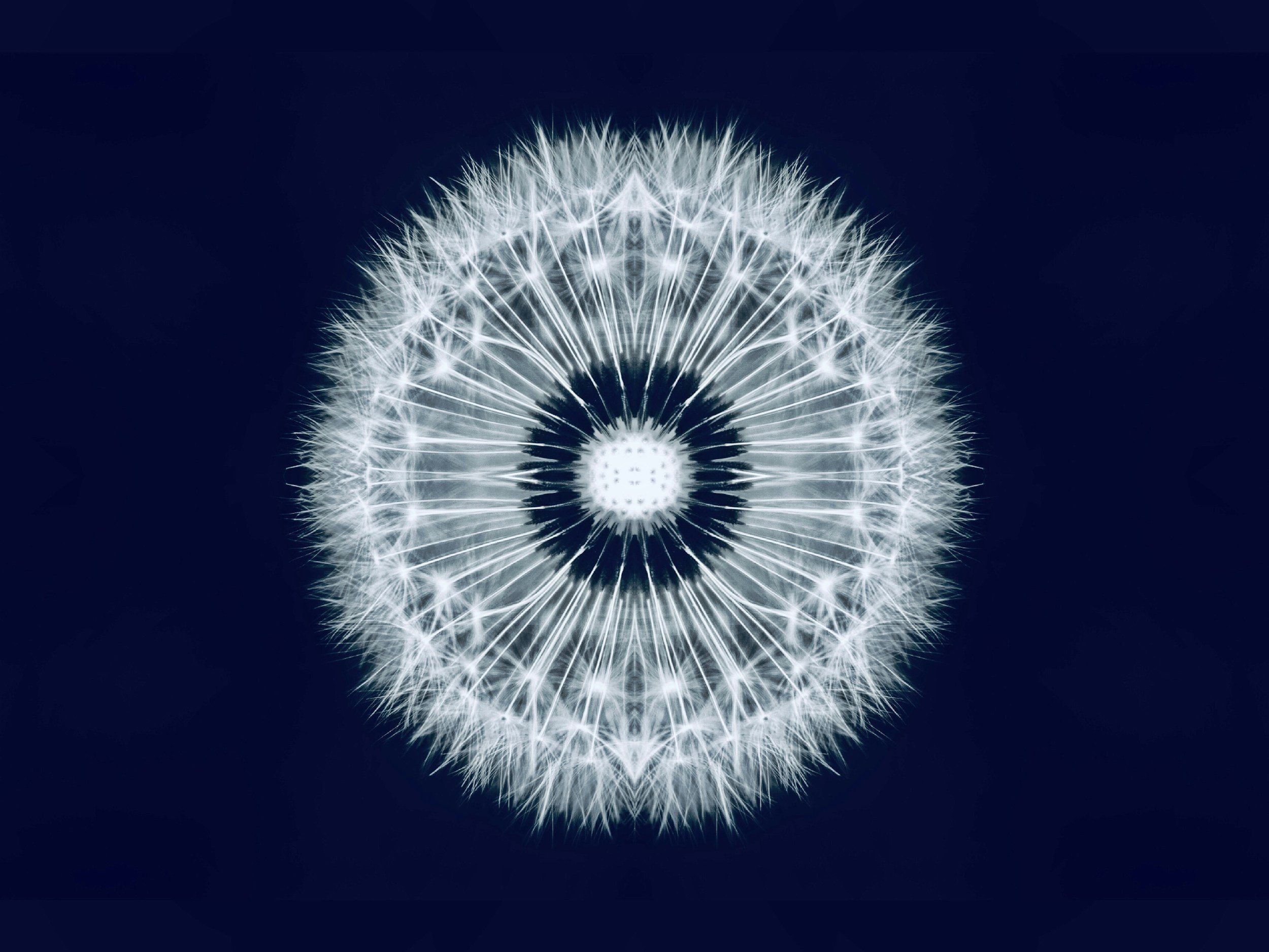 A man with dark, curly hair, wearing clear glasses and a nose piercing, looking to the side with a slight smile, sitting indoors near a plant.