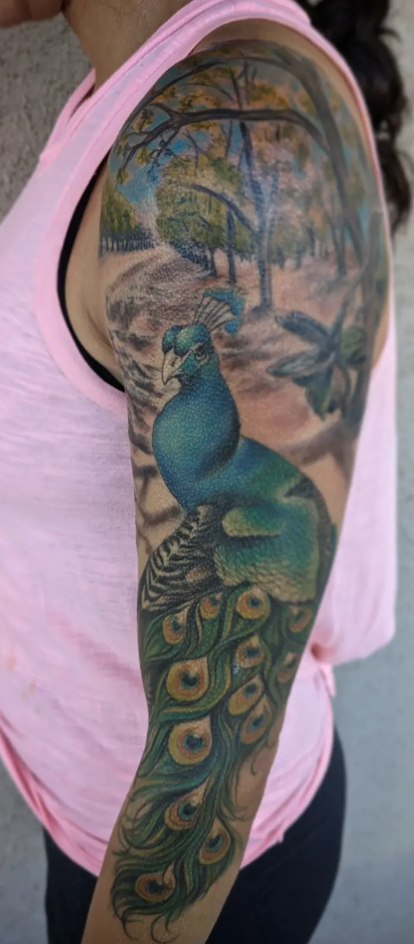 peacock tattoo