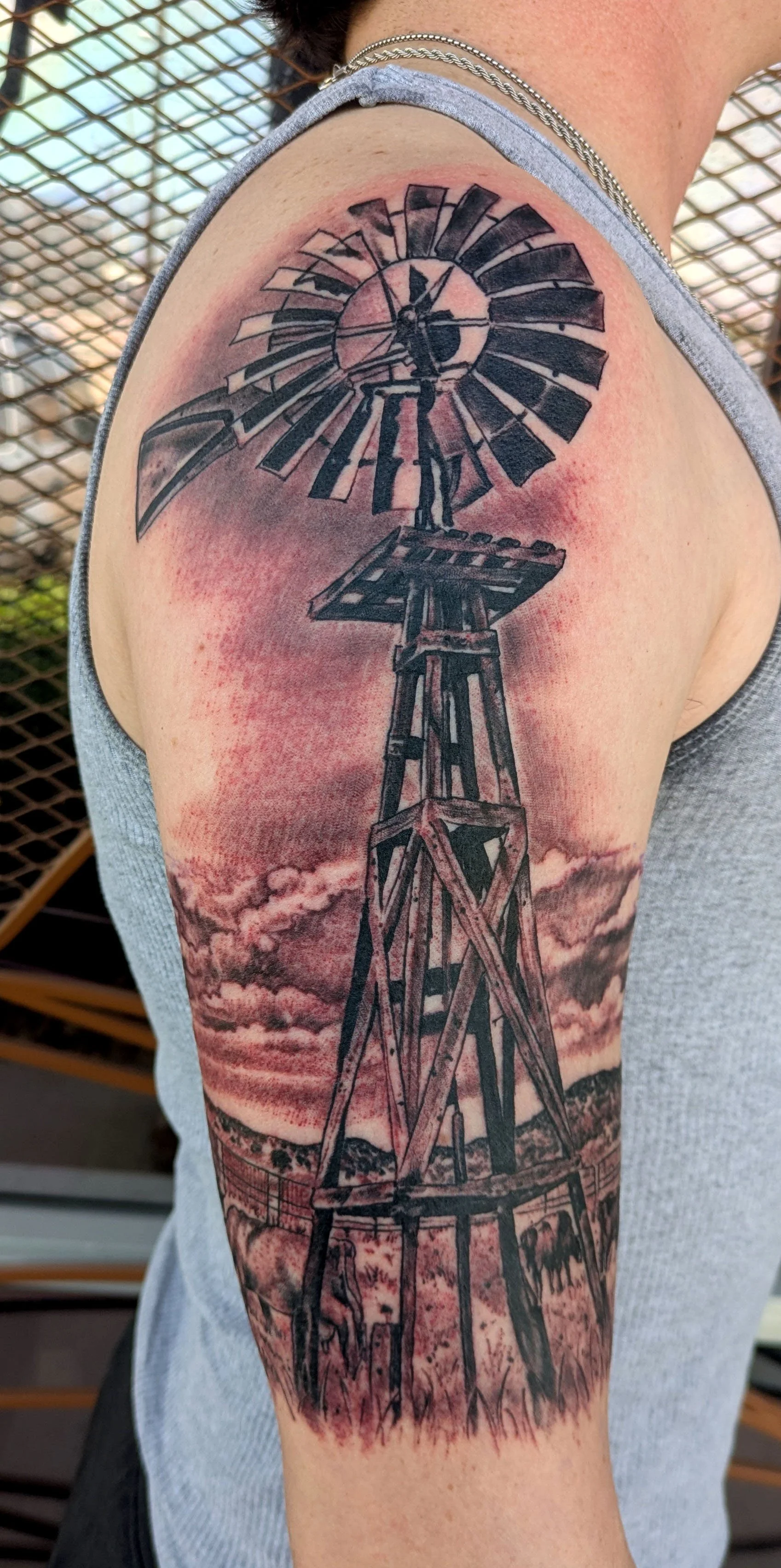 Black & Grey windmill ranch