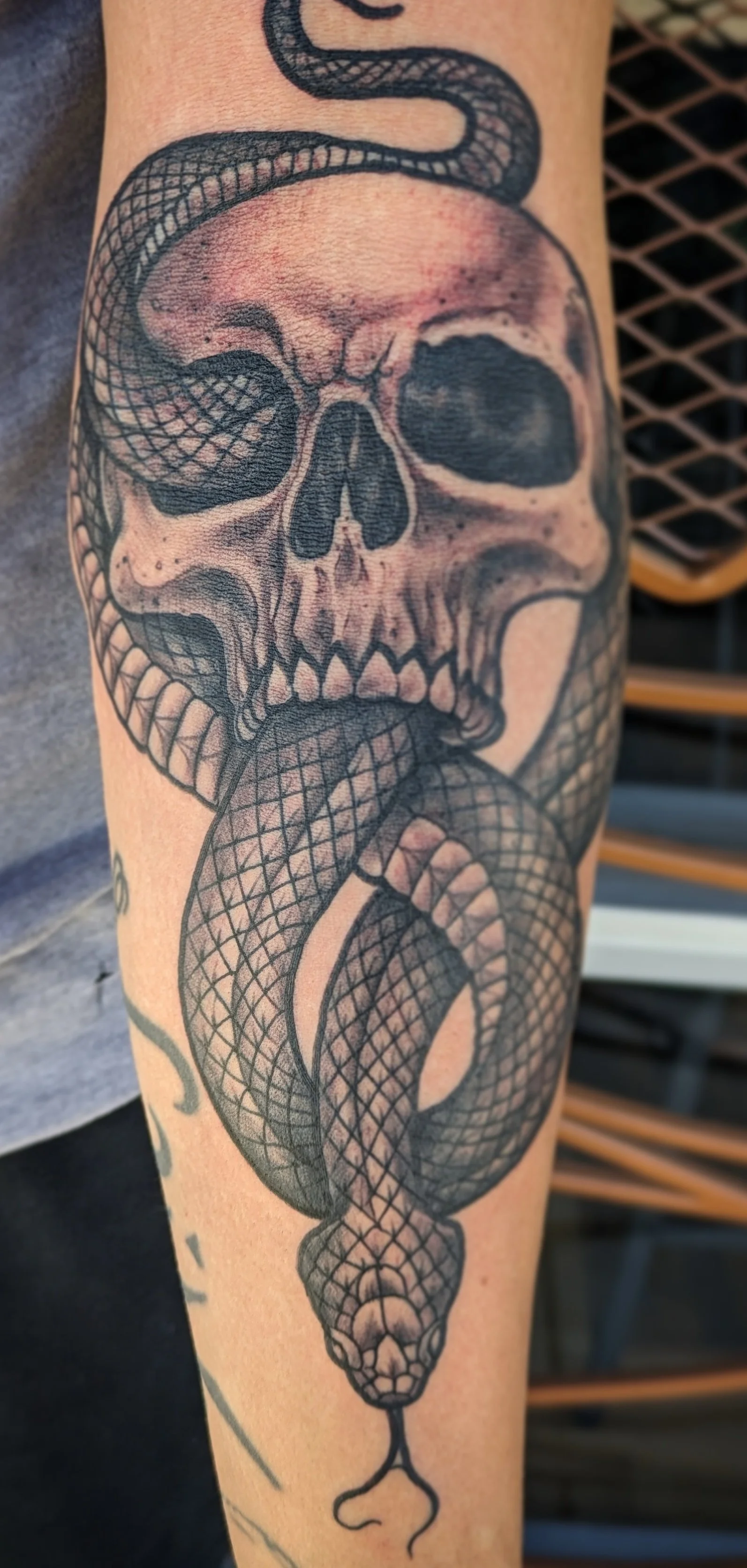 Black & Grey snake and skull