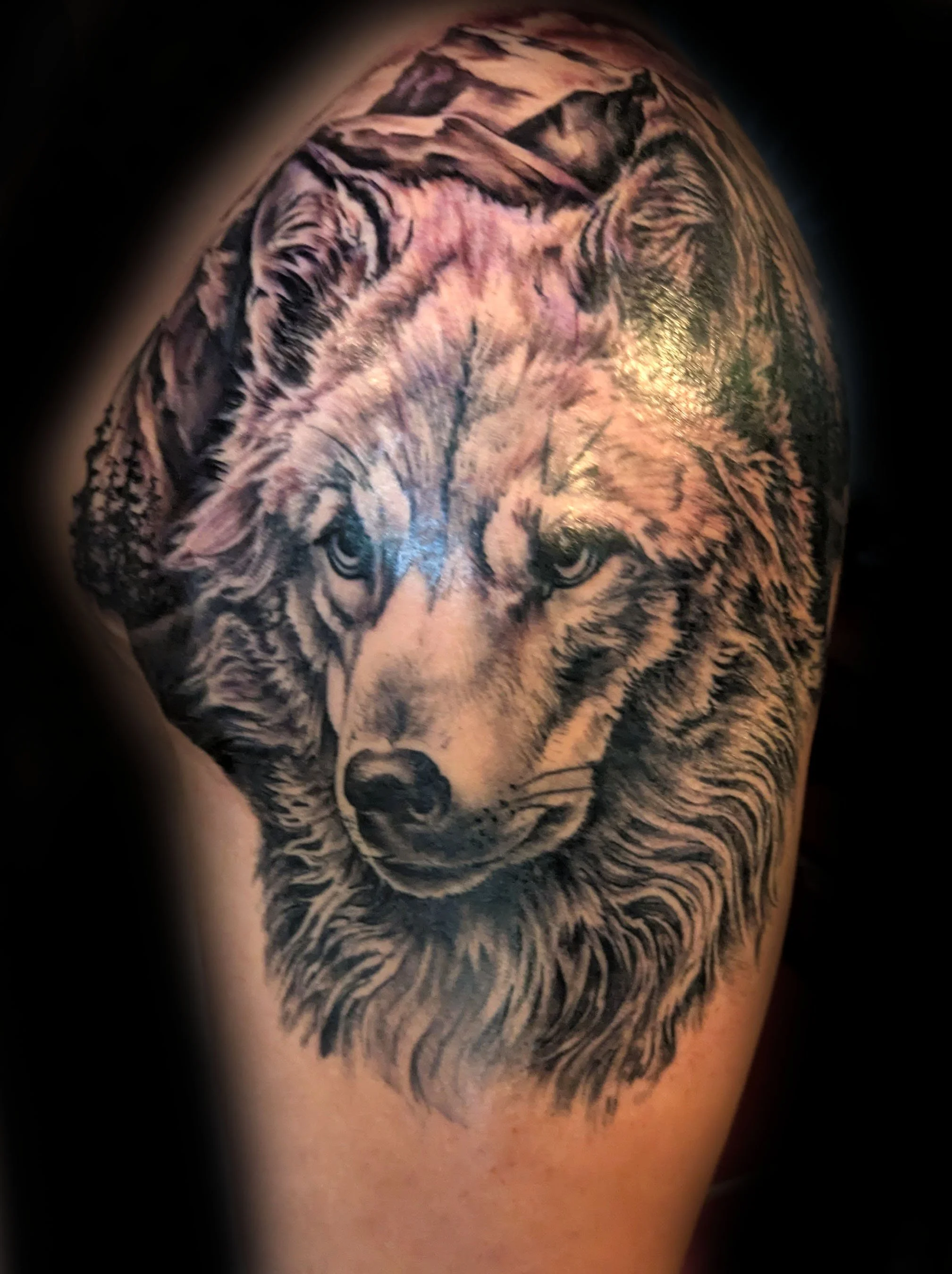 Black & Grey wolf portrait tattoo