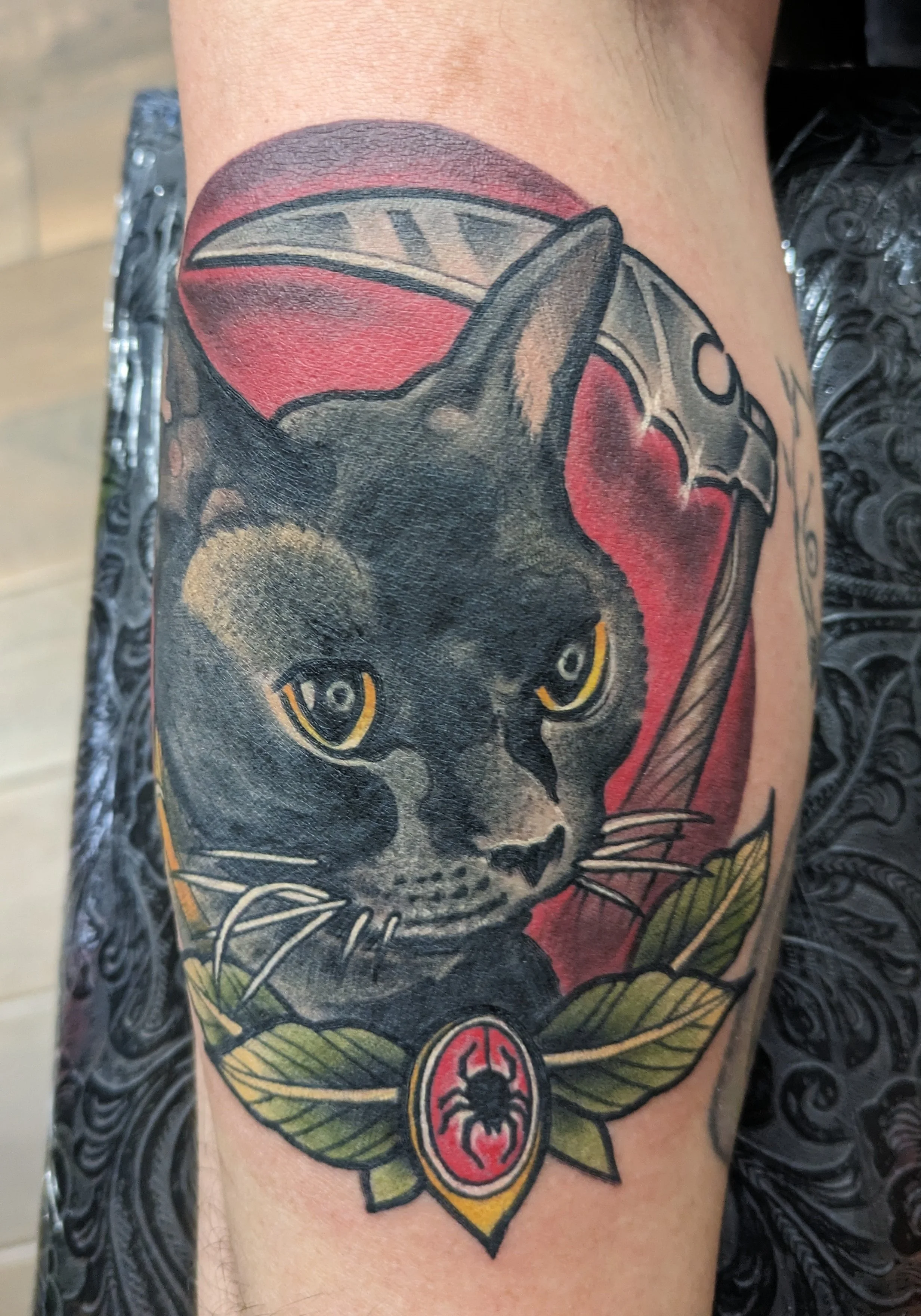 traditional cat portrait