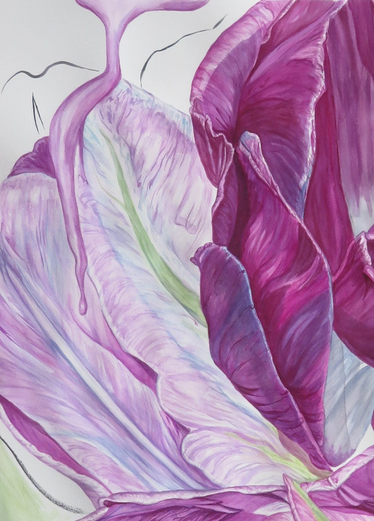 purpletulips.2.closeup.JPG