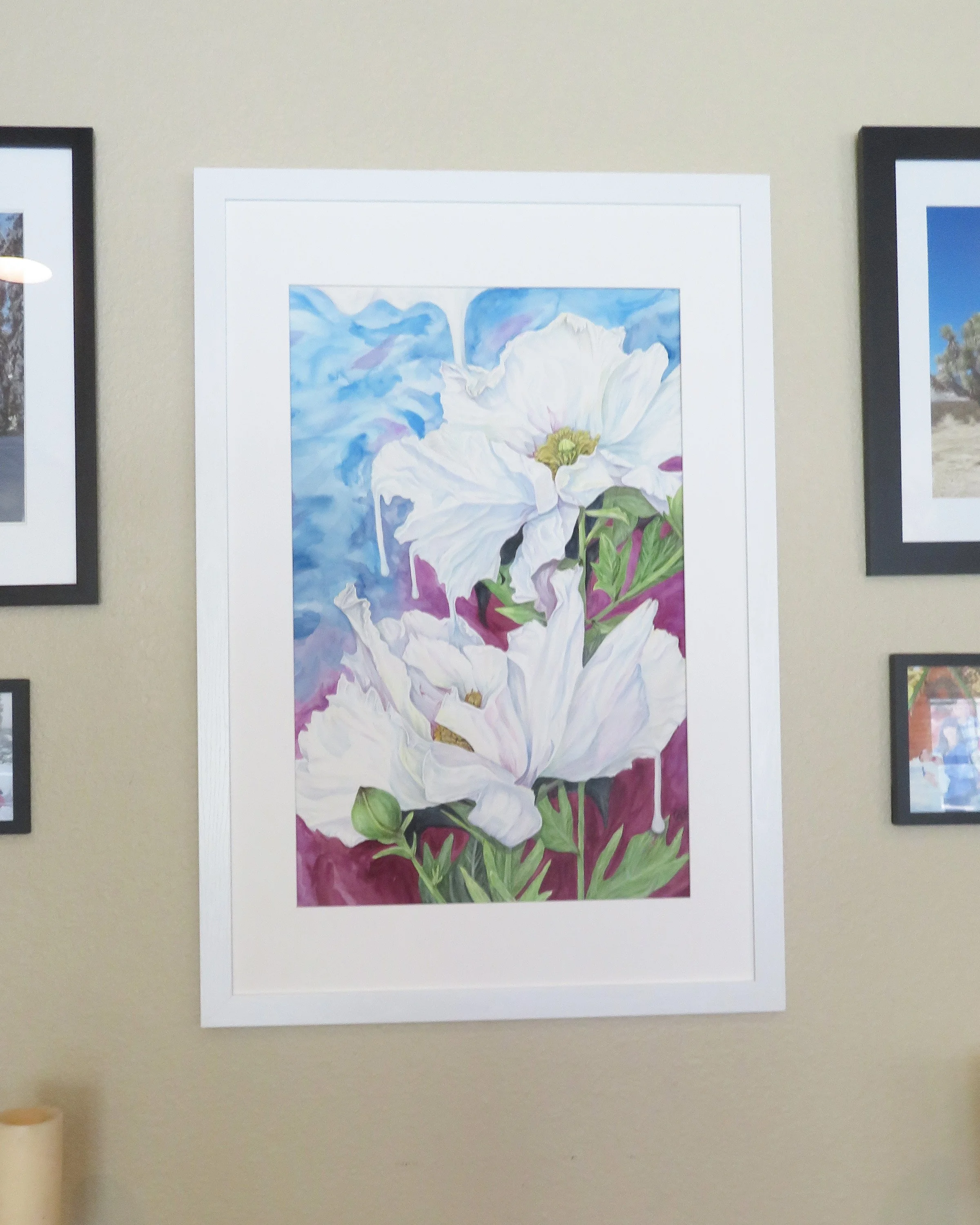 whitepoppy.framed.large.jpg