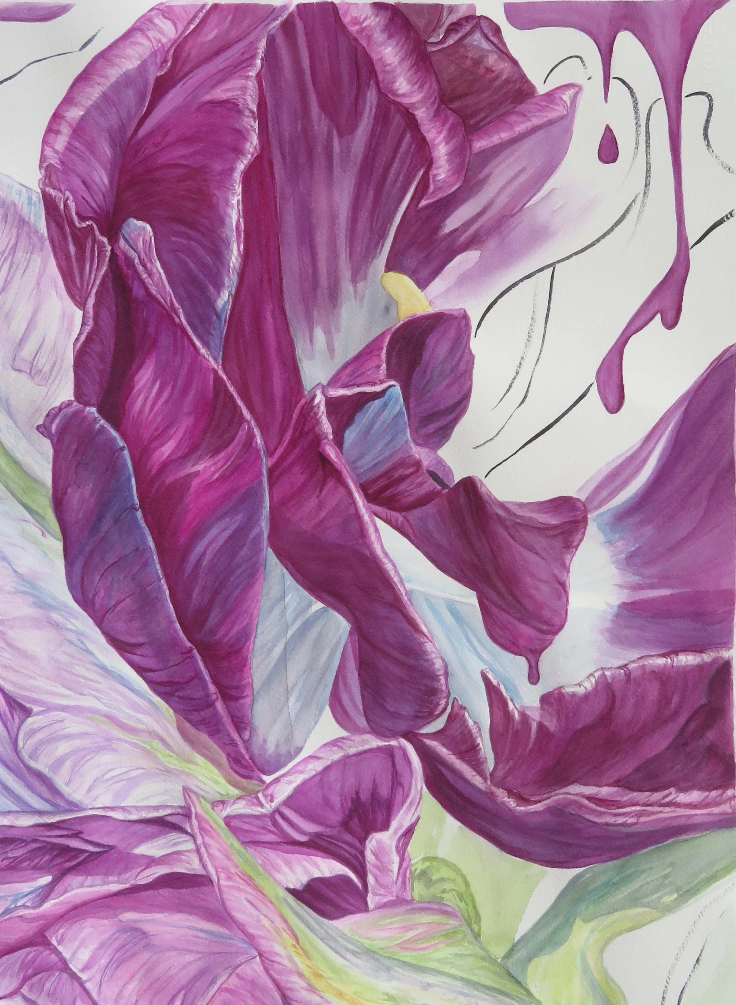 purpletulips.1.JPG