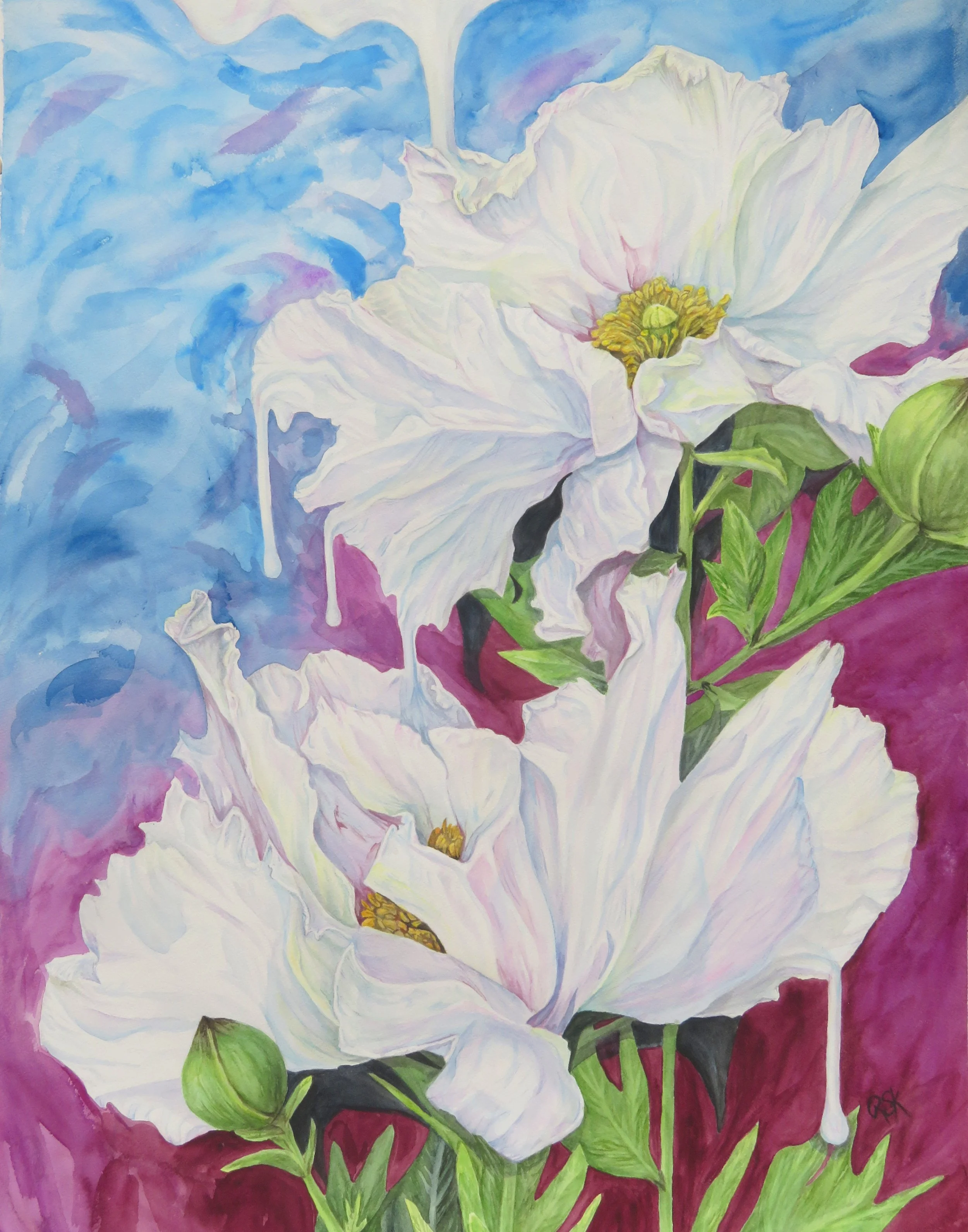 Close-up watercolor painting of white flowers with yellow centers, surrounded by green leaves and set against a blurred purple and blue background.