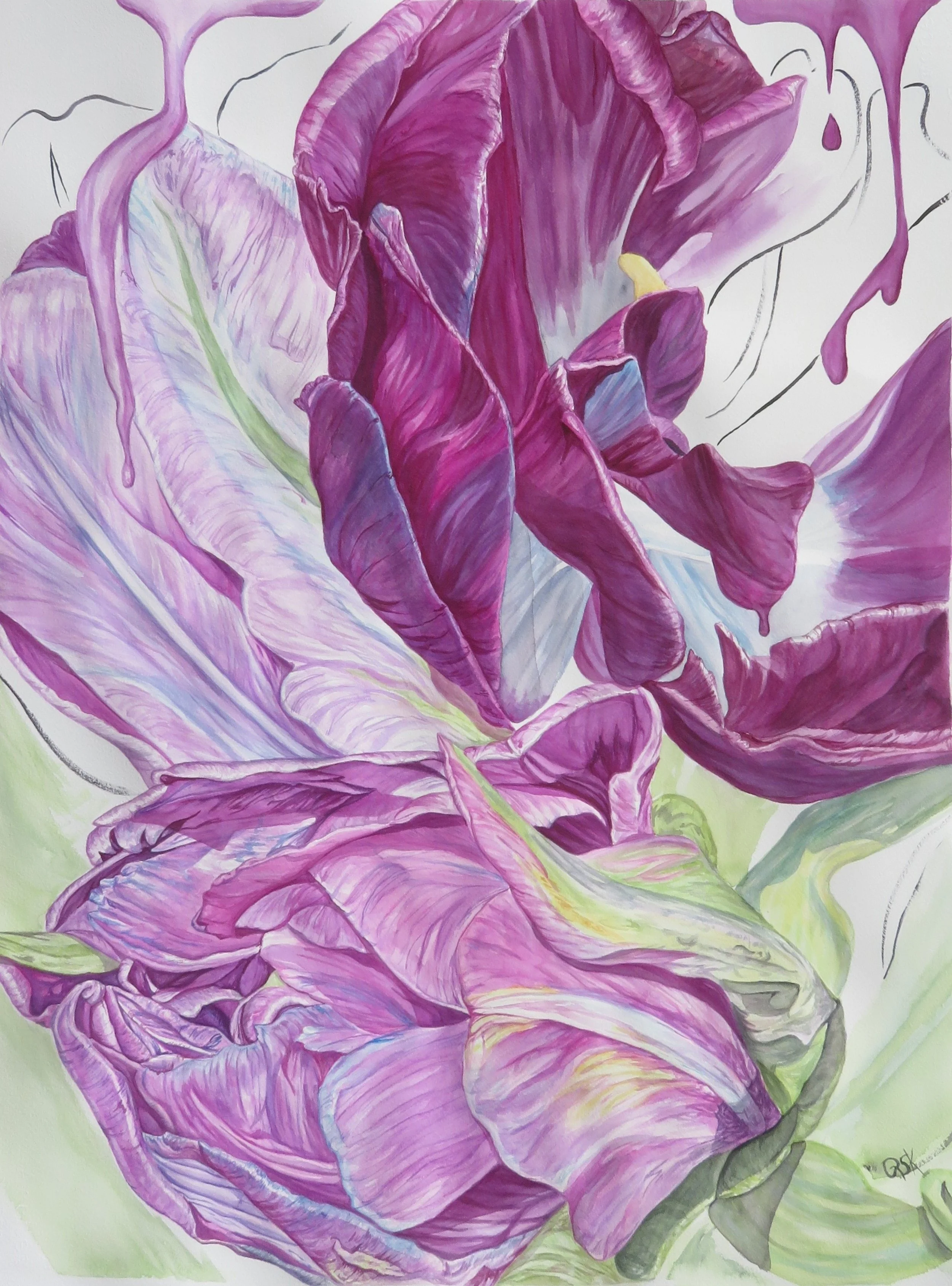 purpletulips.full.22x30.%241995.png